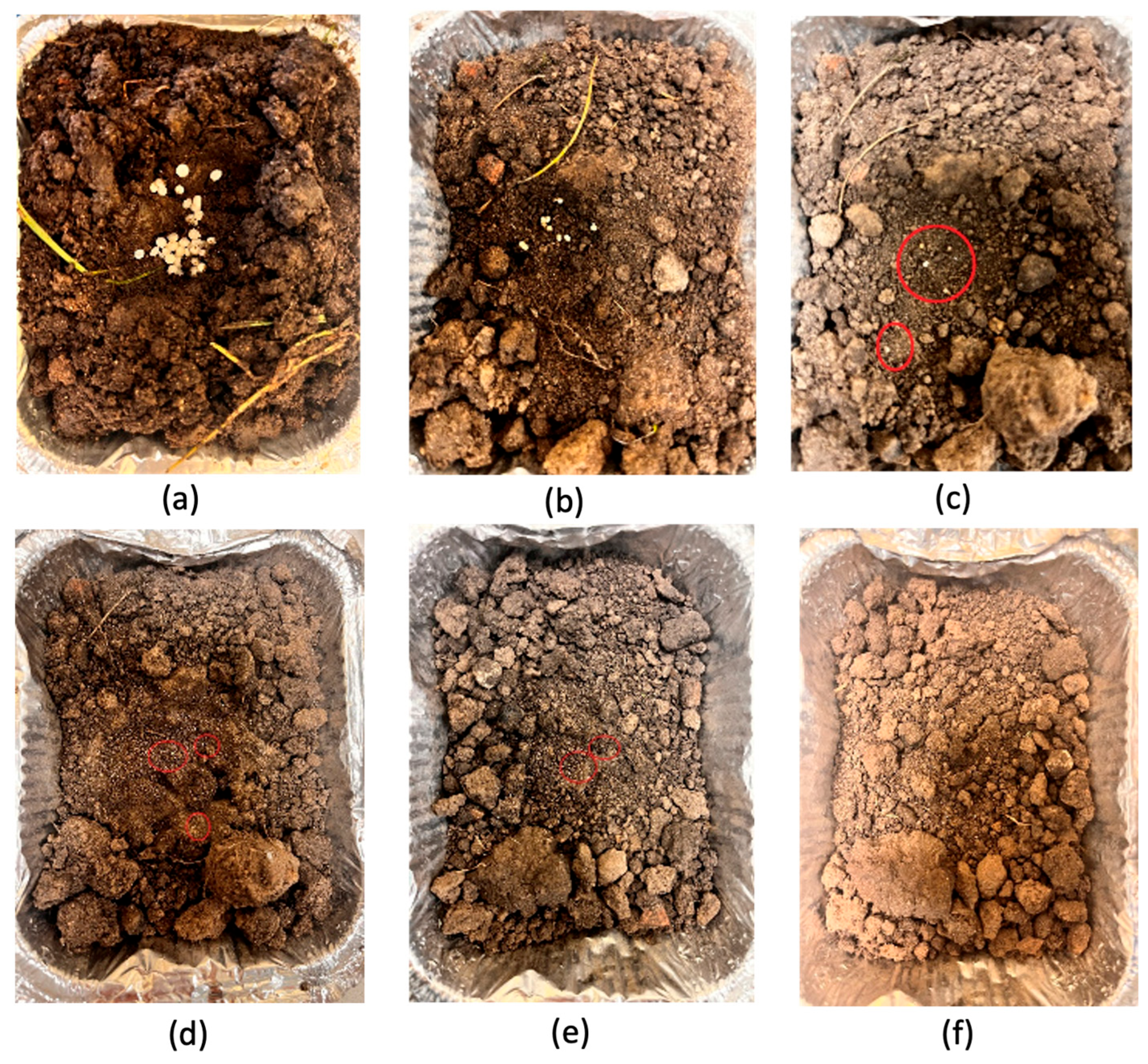 Applsci 15 12844 g019 Applsci 15 12844 g019