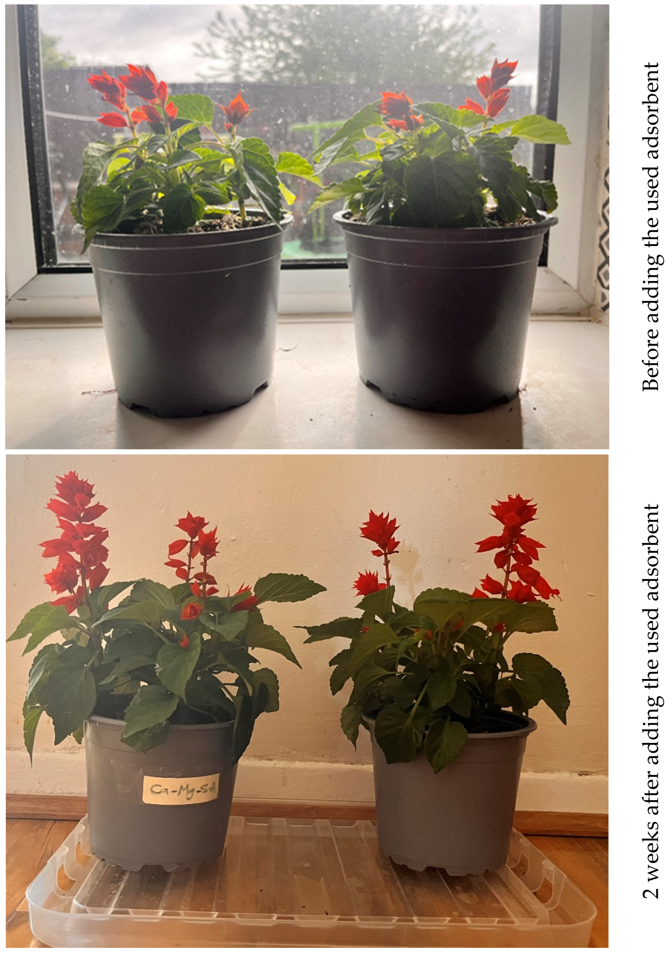 Applsci 15 12844 g020a Applsci 15 12844 g020a