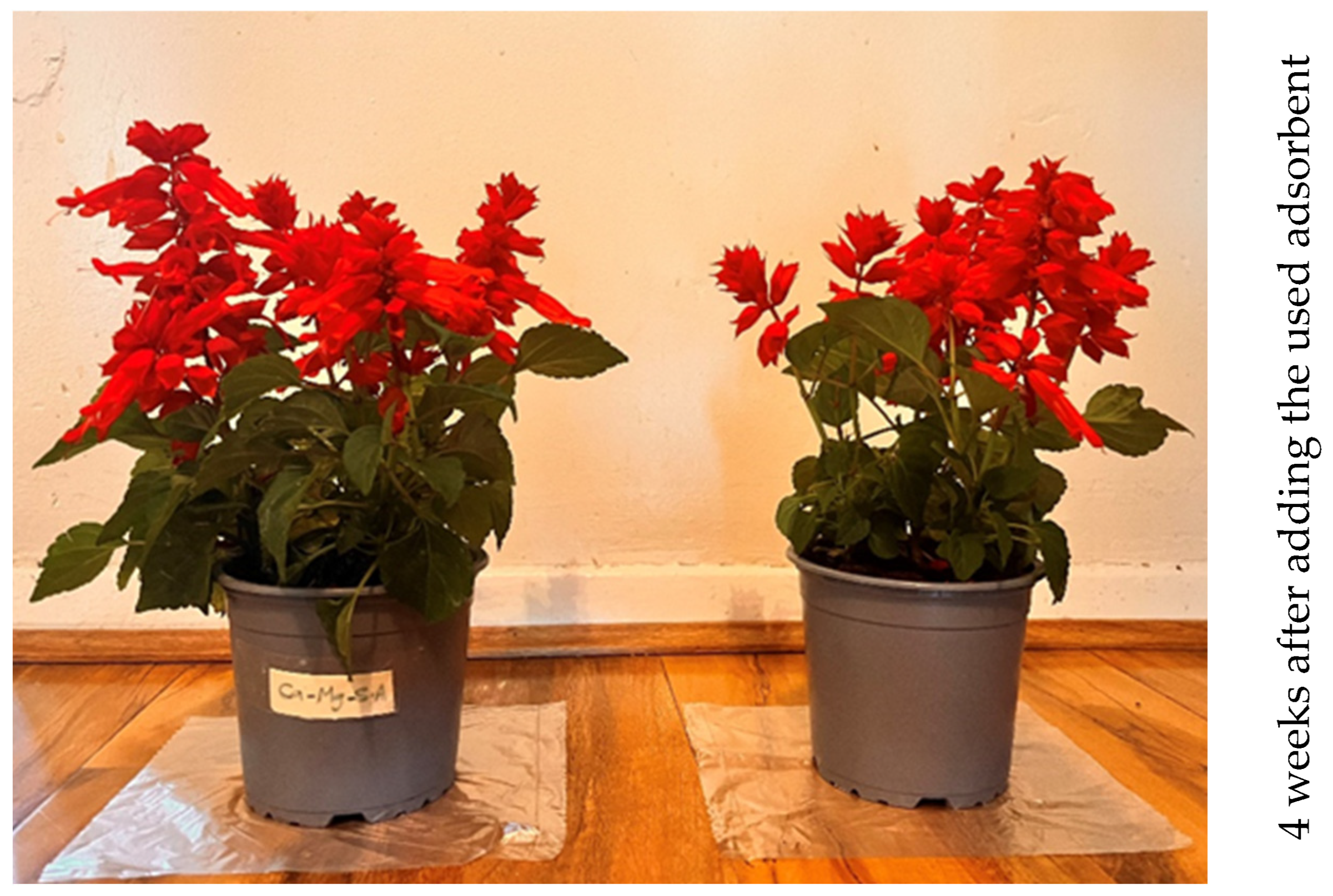 Applsci 15 12844 g020b Applsci 15 12844 g020b