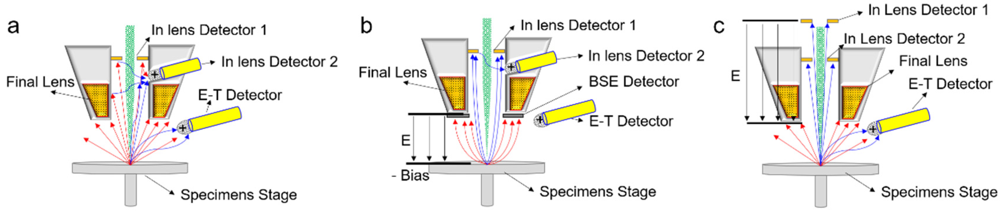 Applsci 15 12845 g003 Applsci 15 12845 g003
