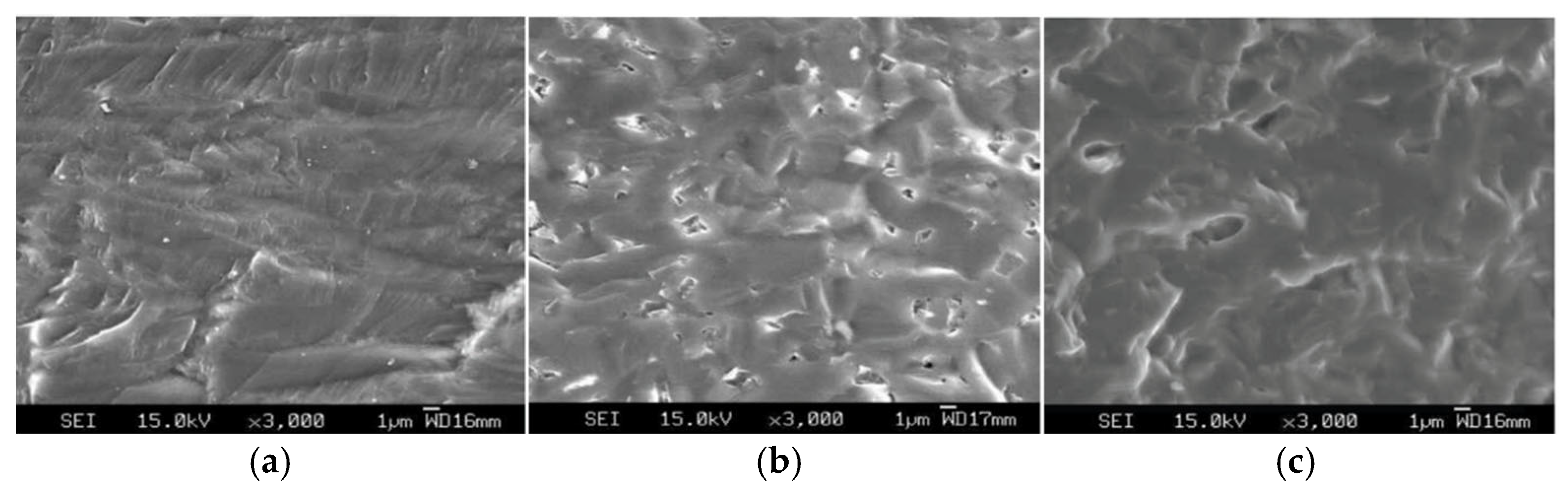 Applsci 15 12892 g002