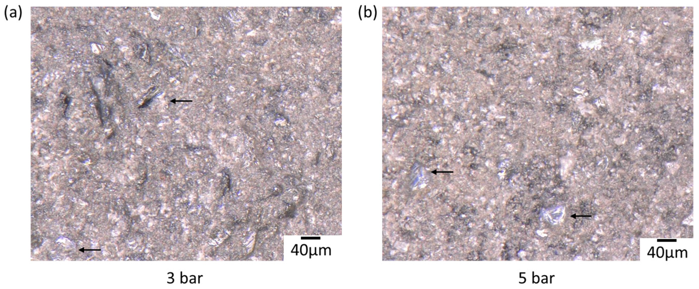 Applsci 15 12907 g013