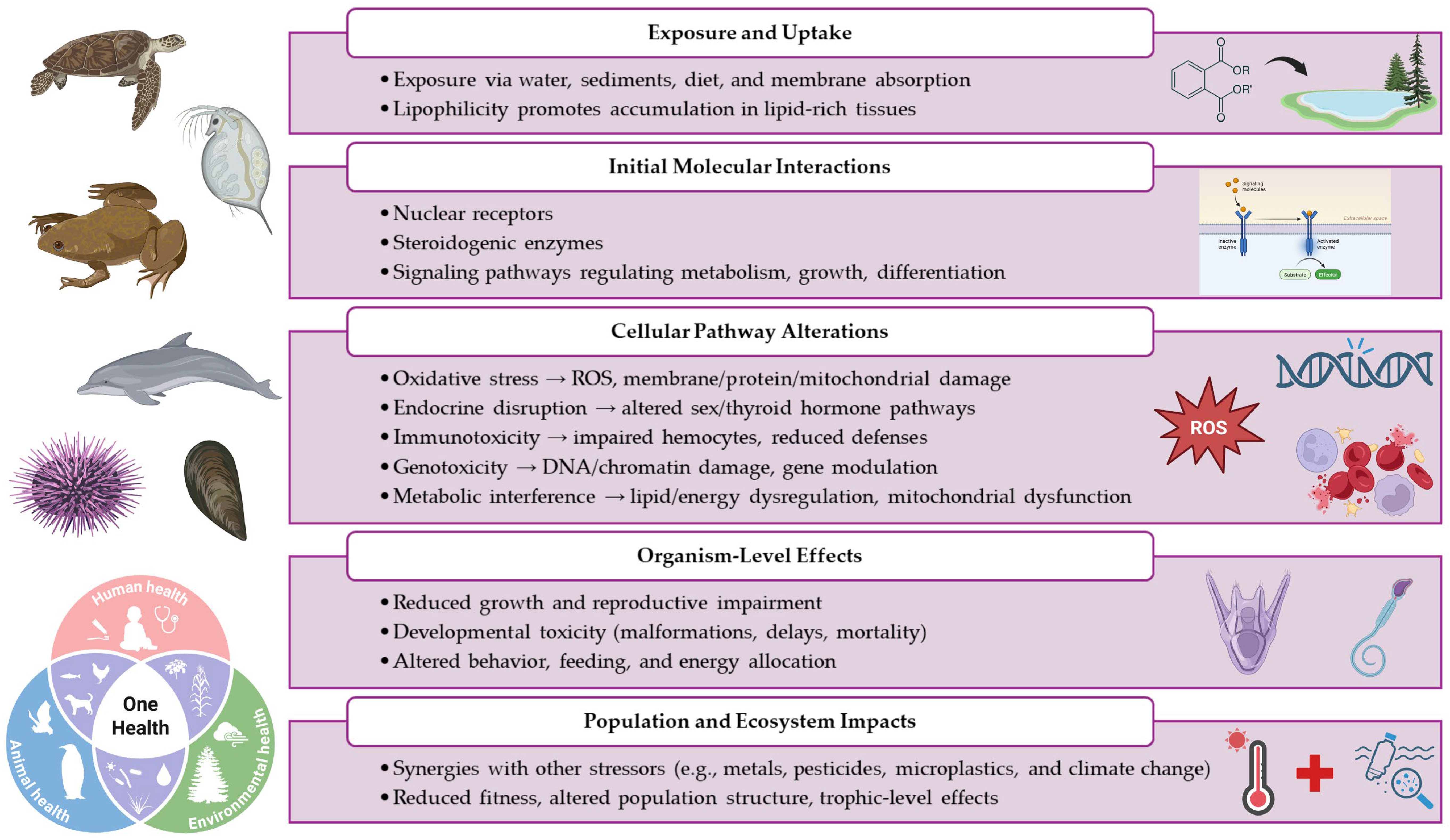 Applsci 15 12937 g001 Applsci 15 12937 g001