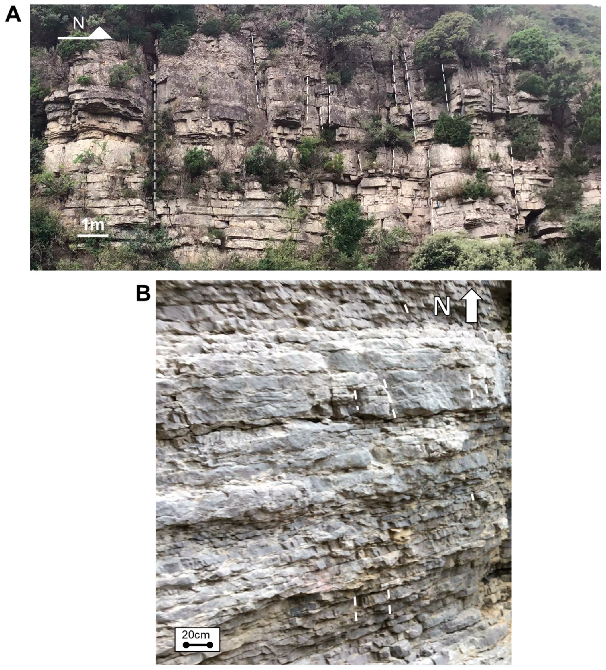 Applsci 15 12956 g002 Applsci 15 12956 g002