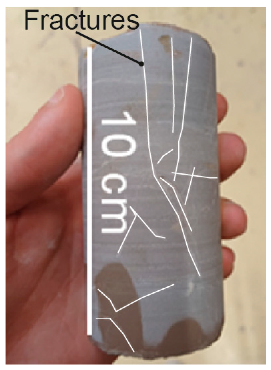 Applsci 15 12956 g009 Applsci 15 12956 g009