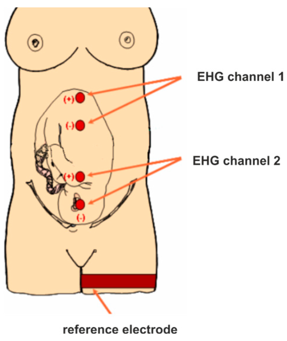 Applsci 15 12960 g001