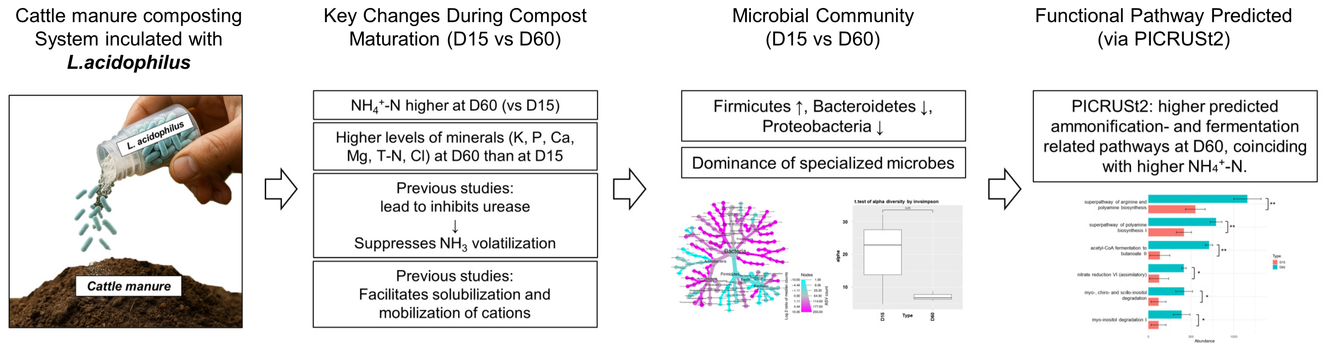 Applsci 15 12969 g004 Applsci 15 12969 g004