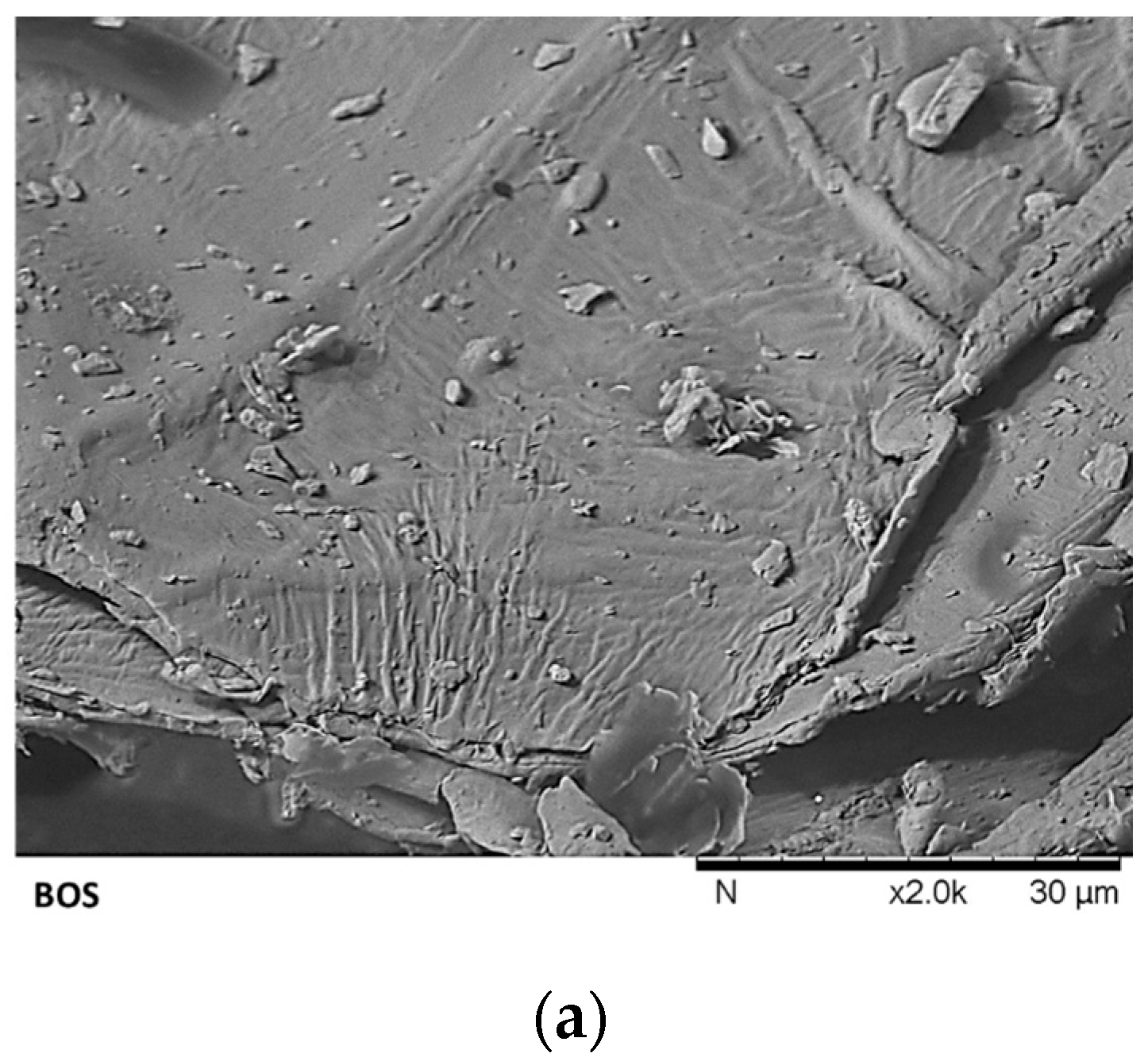 Applsci 15 12970 g004a Applsci 15 12970 g004a