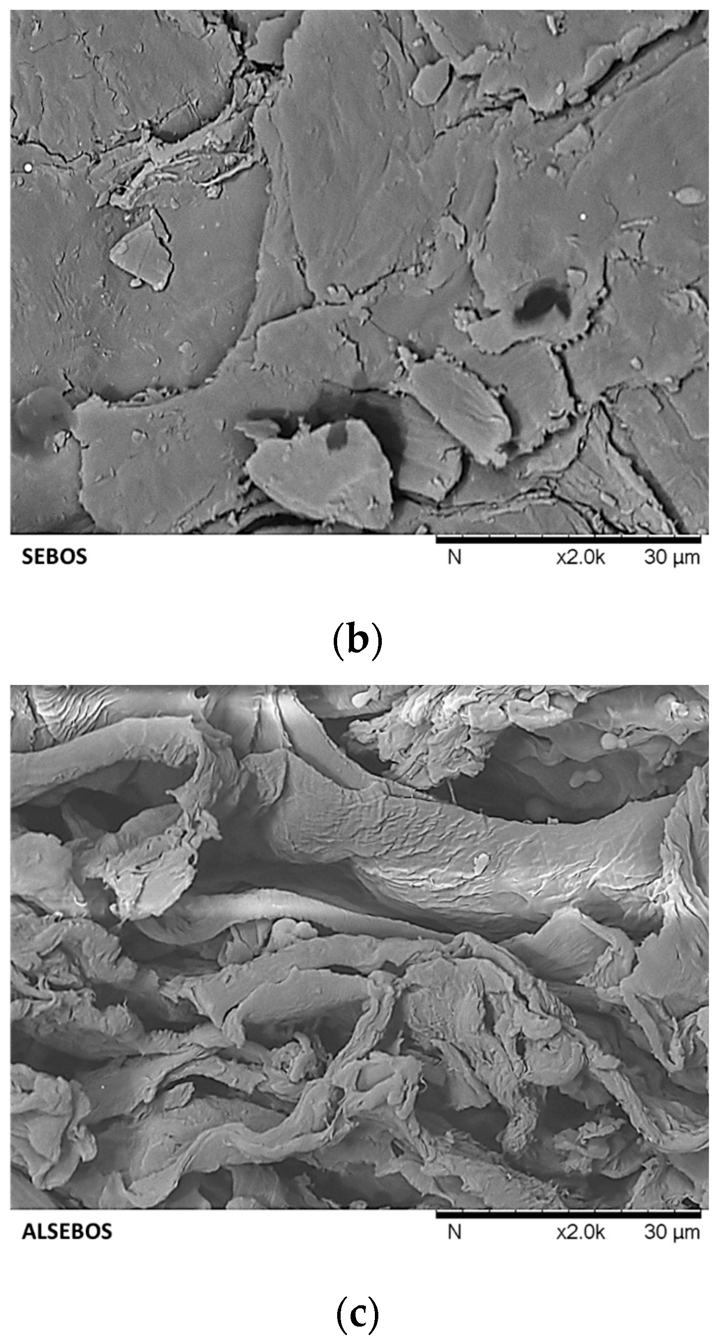 Applsci 15 12970 g004b Applsci 15 12970 g004b