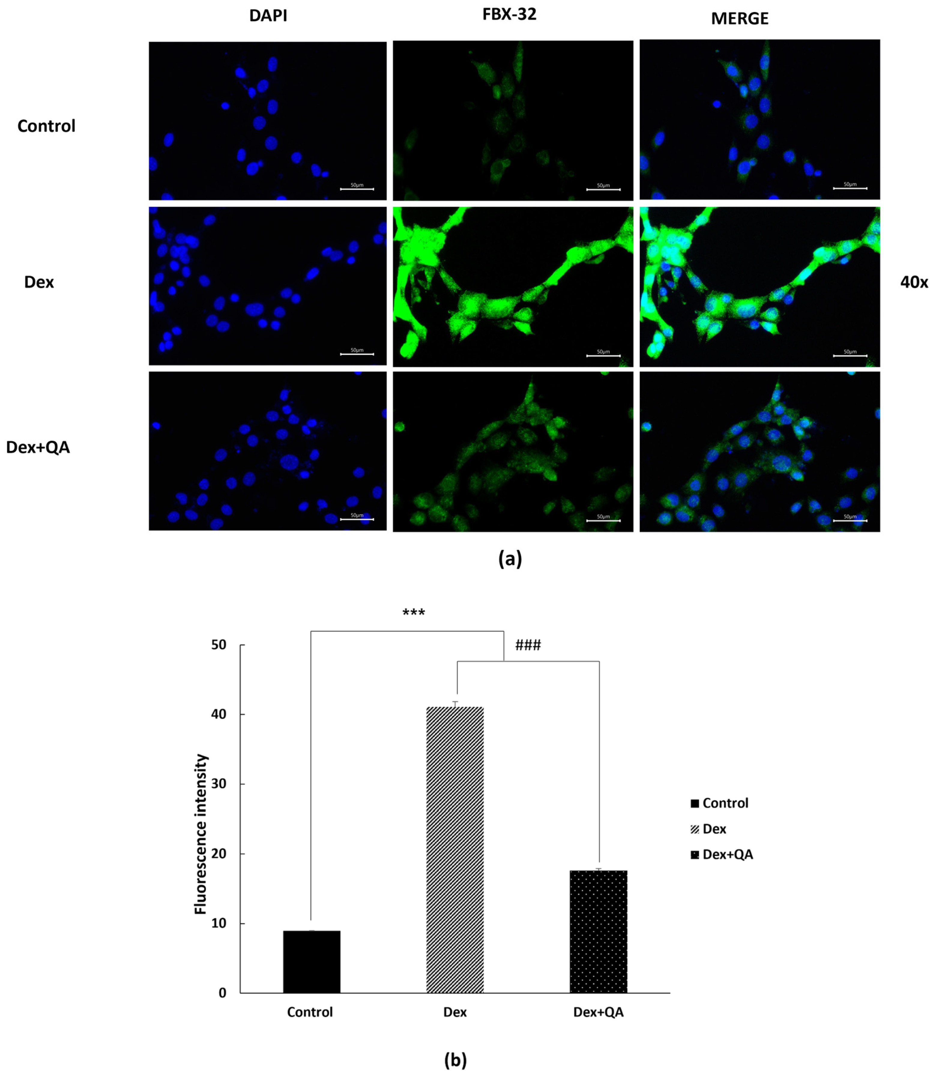 Applsci 15 12978 g004