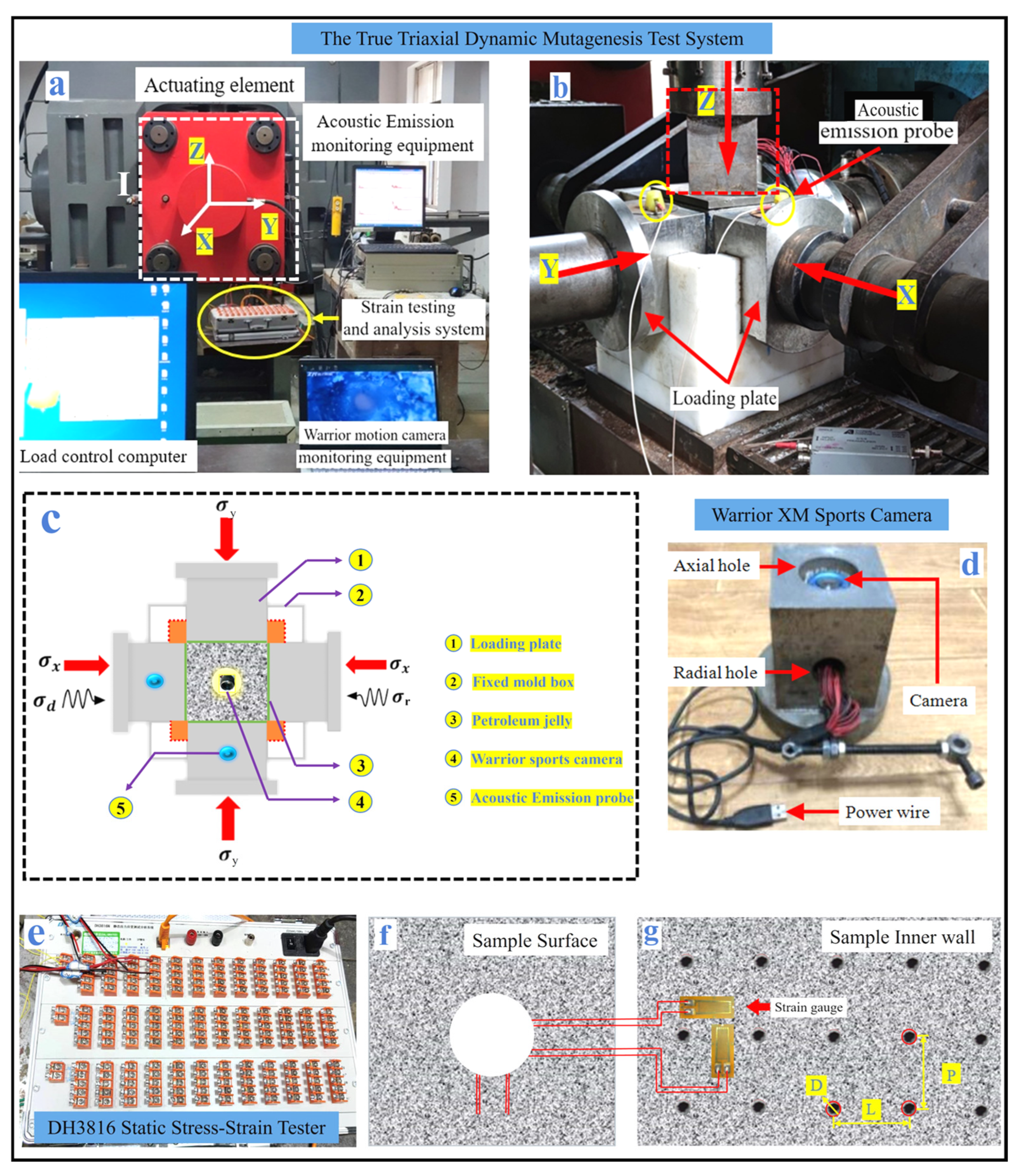 Applsci 15 12997 g004 Applsci 15 12997 g004