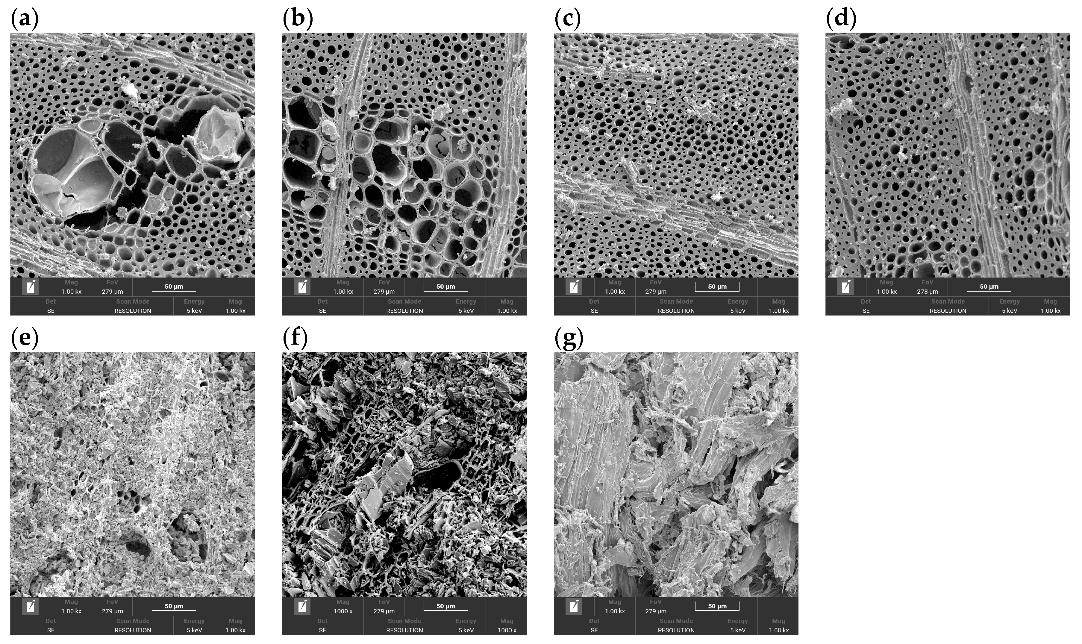 Applsci 15 12999 g008