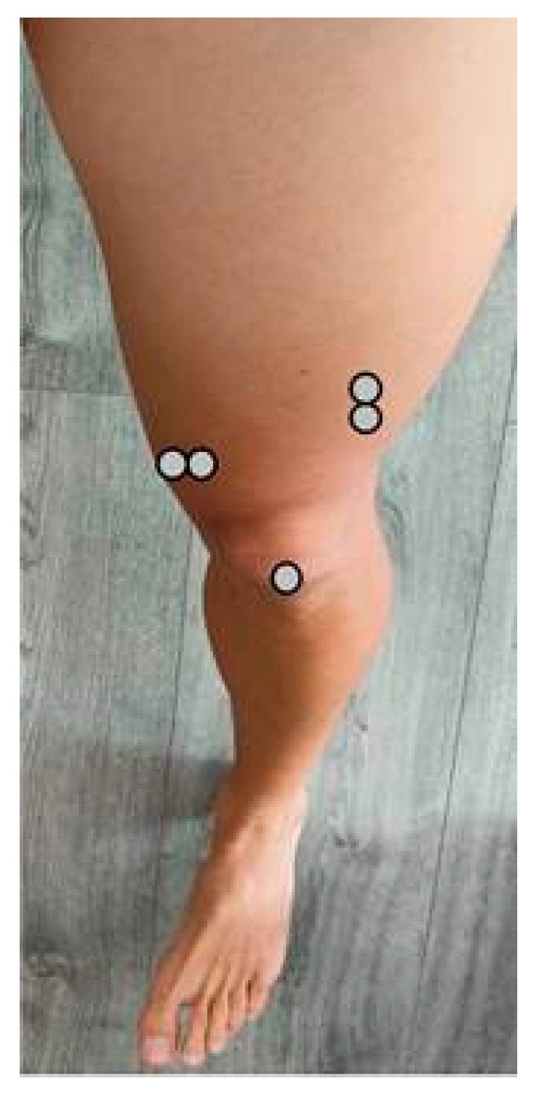 Applsci 15 13003 g001 Applsci 15 13003 g001