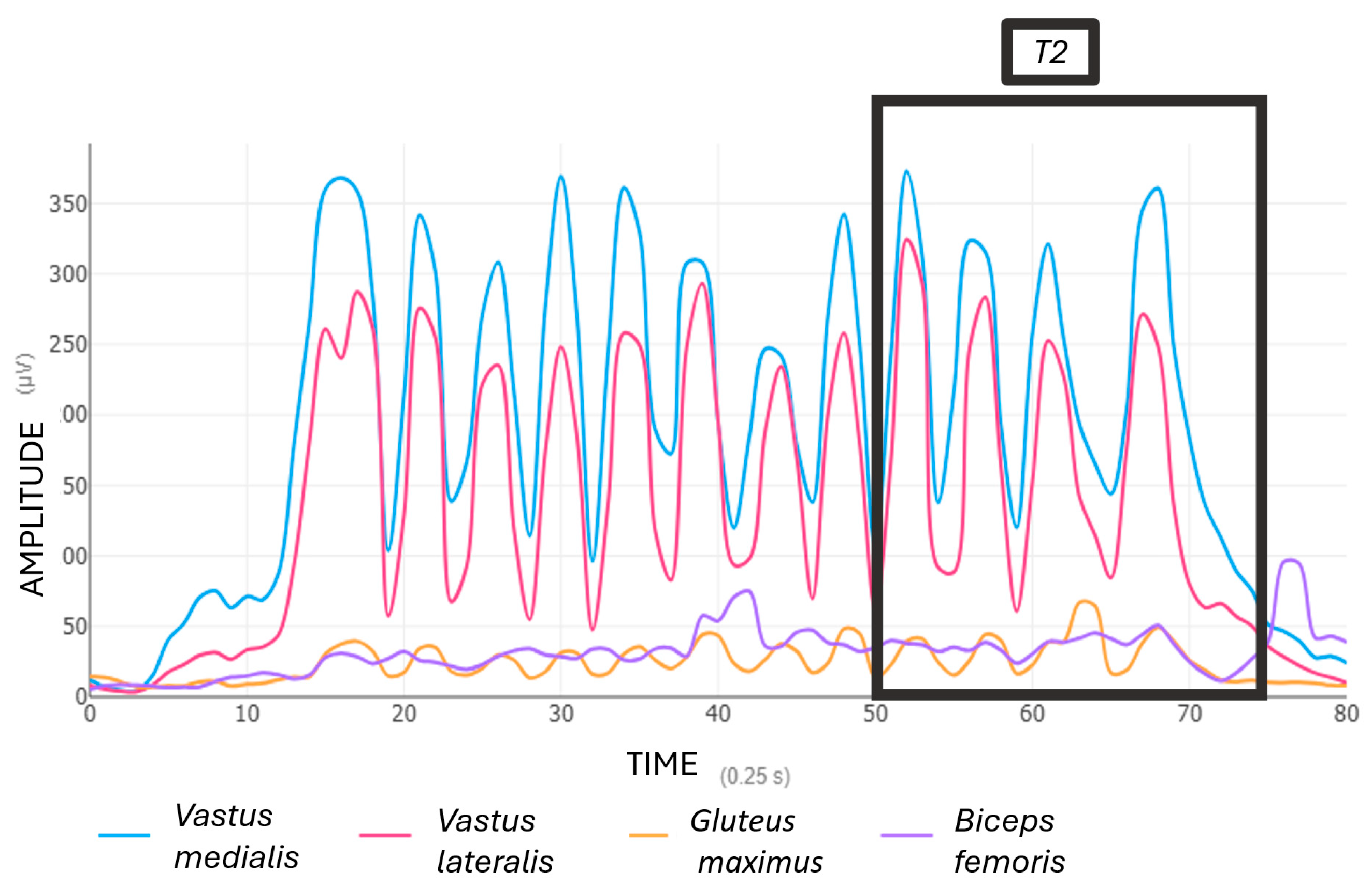 Applsci 15 13003 g004 Applsci 15 13003 g004