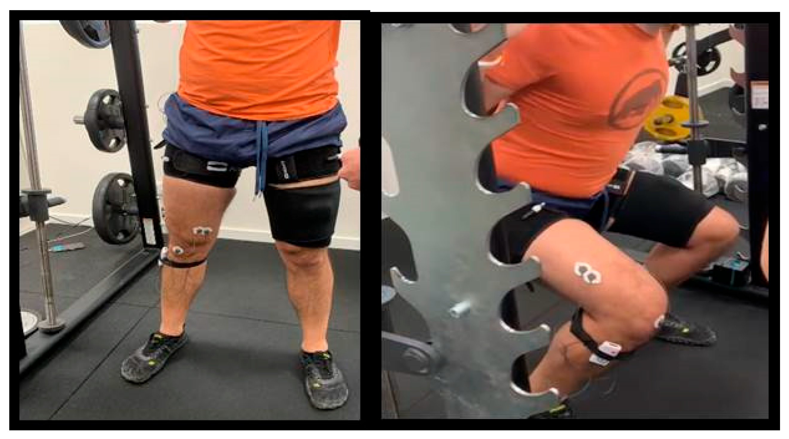 Applsci 15 13003 g005 Applsci 15 13003 g005