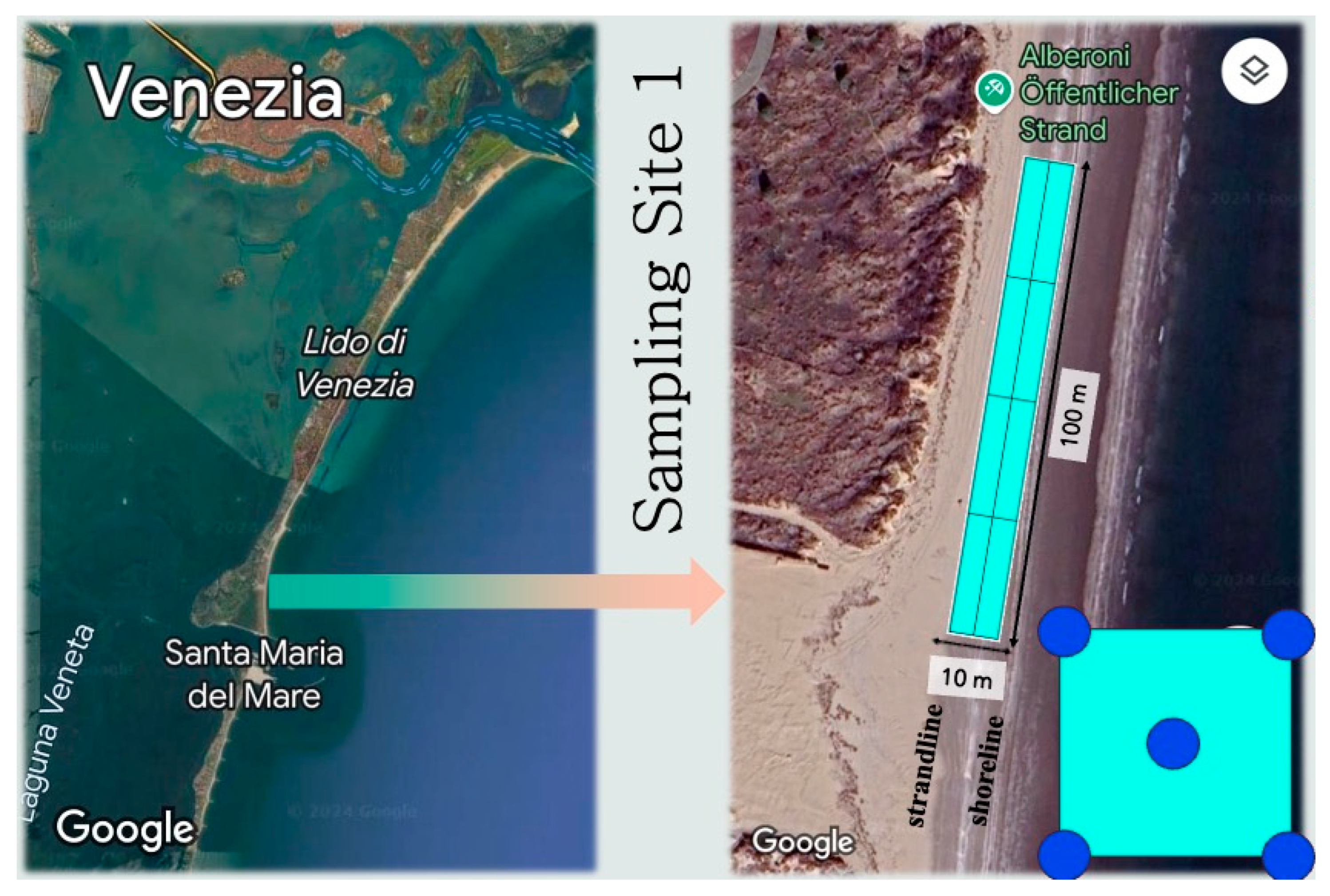 Applsci 15 13007 g001 Applsci 15 13007 g001