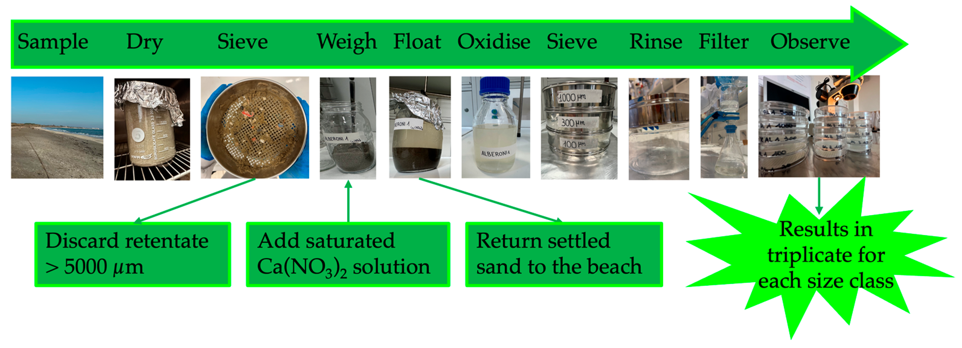 Applsci 15 13007 g004 Applsci 15 13007 g004