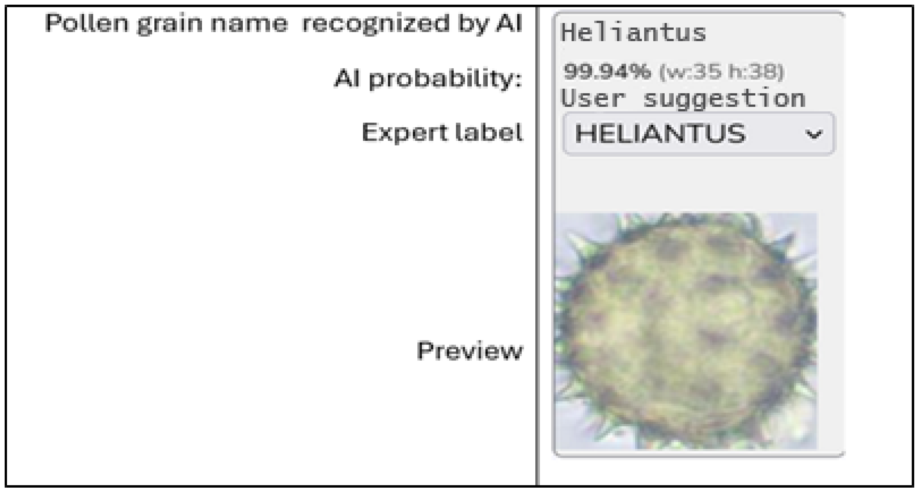Applsci 15 13009 g001