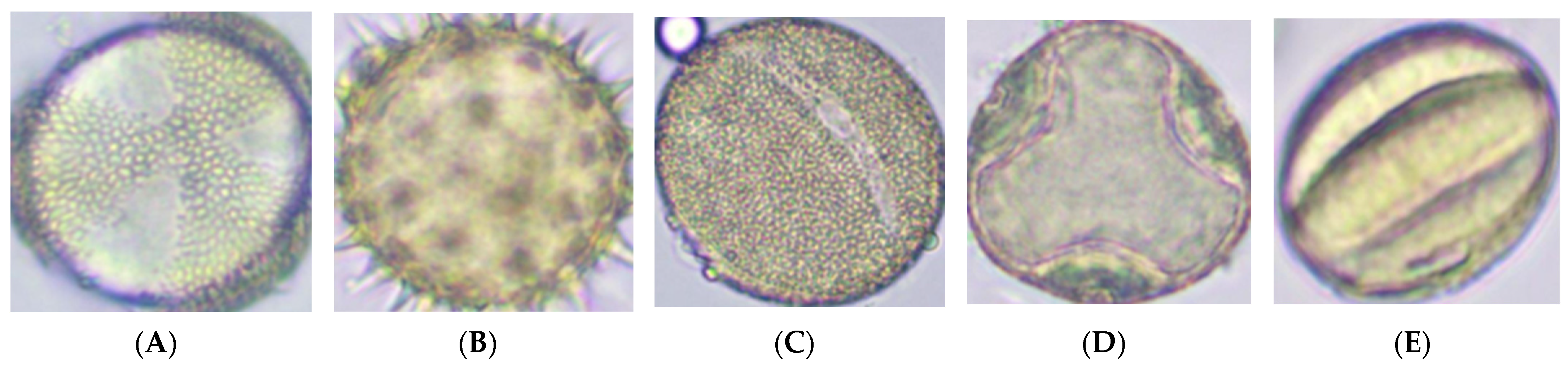 Applsci 15 13009 g002