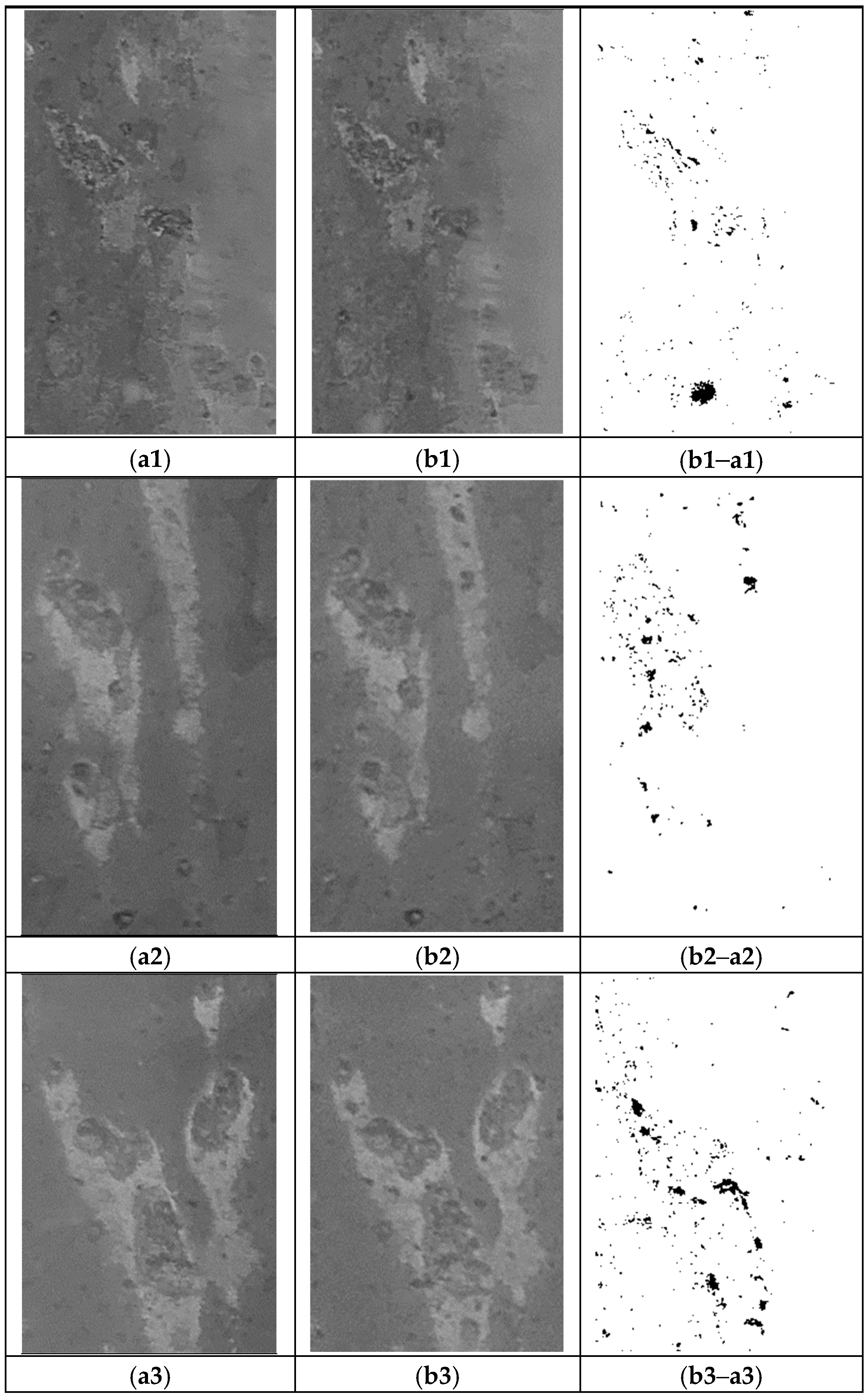 Applsci 15 13016 g016