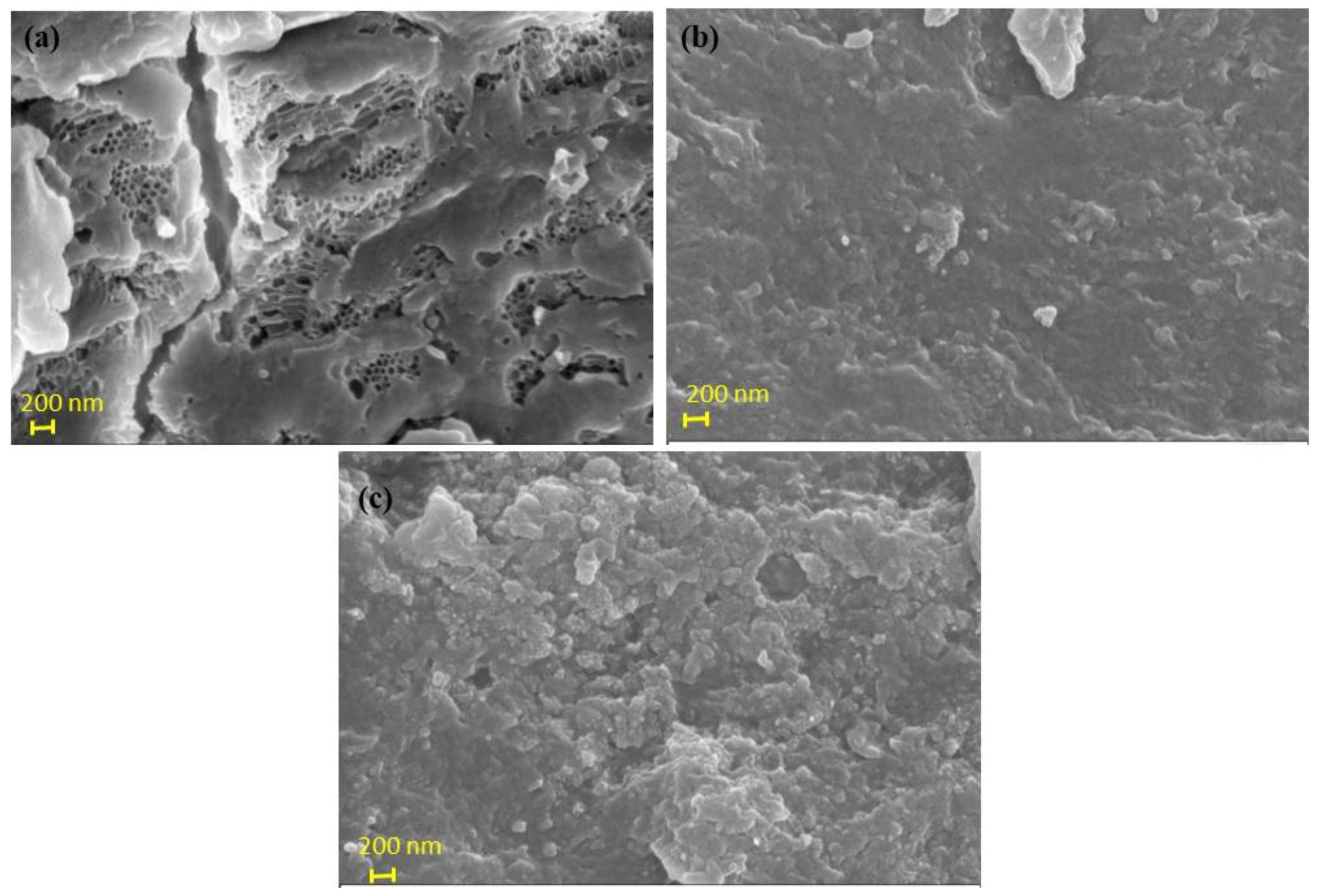 Applsci 15 13018 g001 Applsci 15 13018 g001