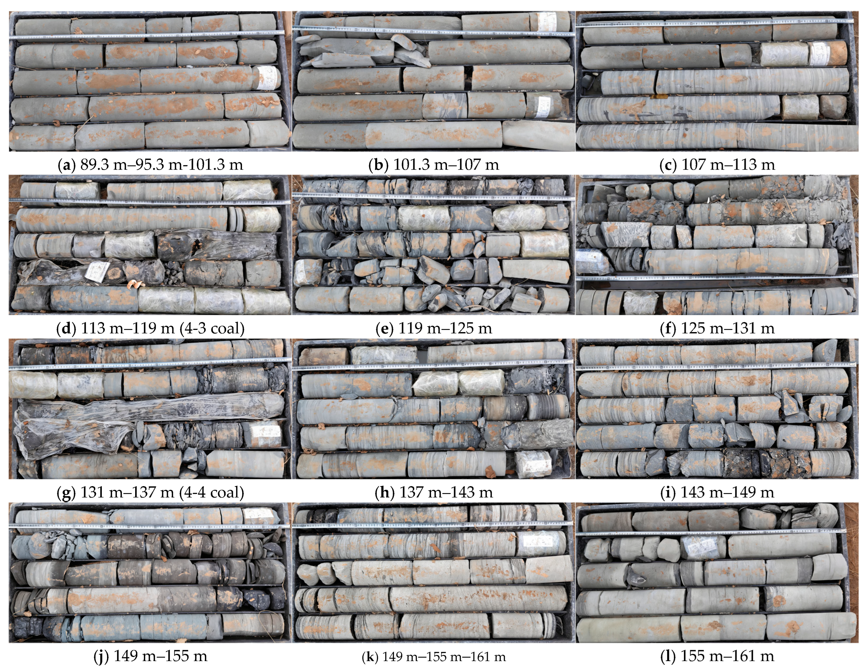 Applsci 15 13028 g0a1a