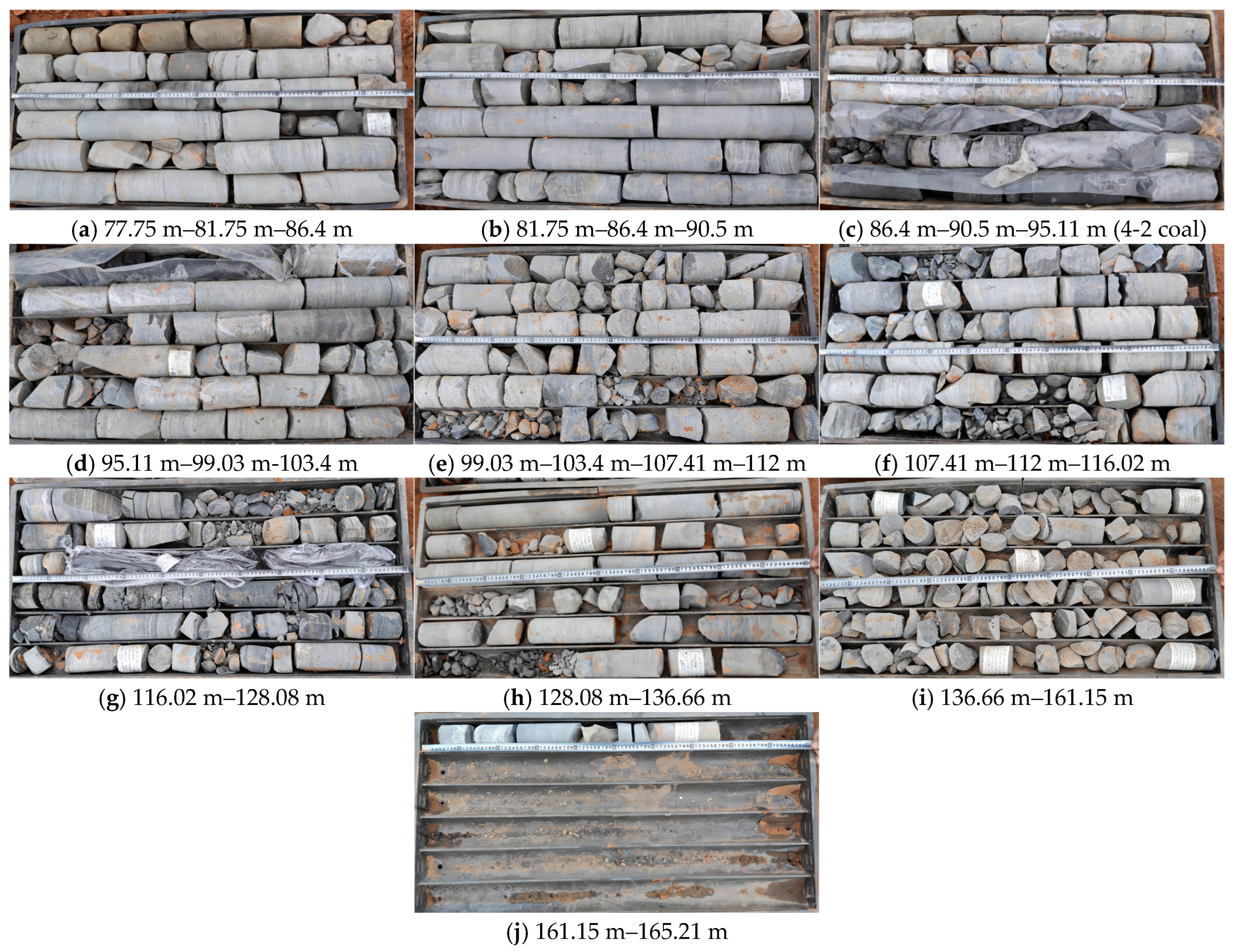 Applsci 15 13028 g0a3