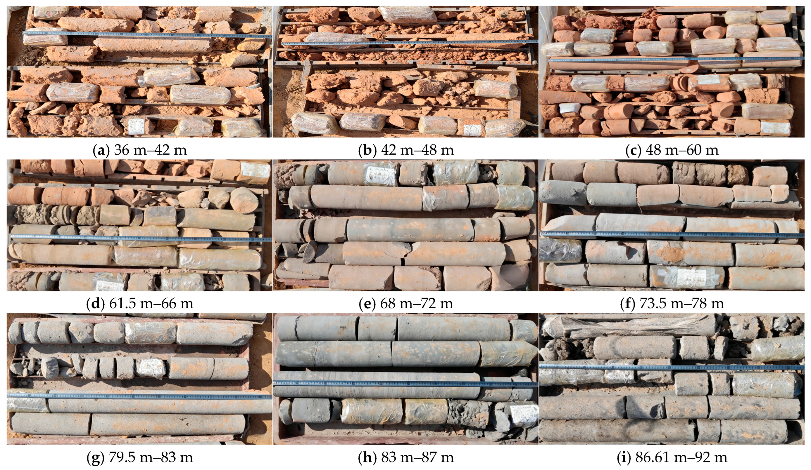 Applsci 15 13028 g0a4a