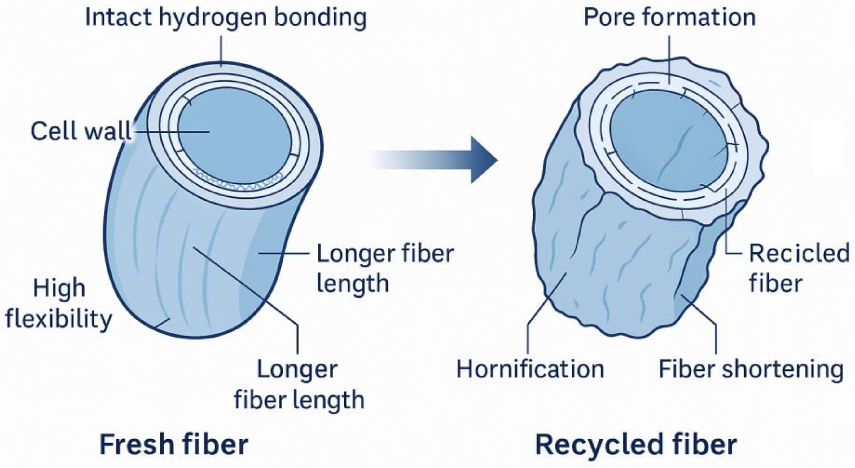 Applsci 15 13034 g002