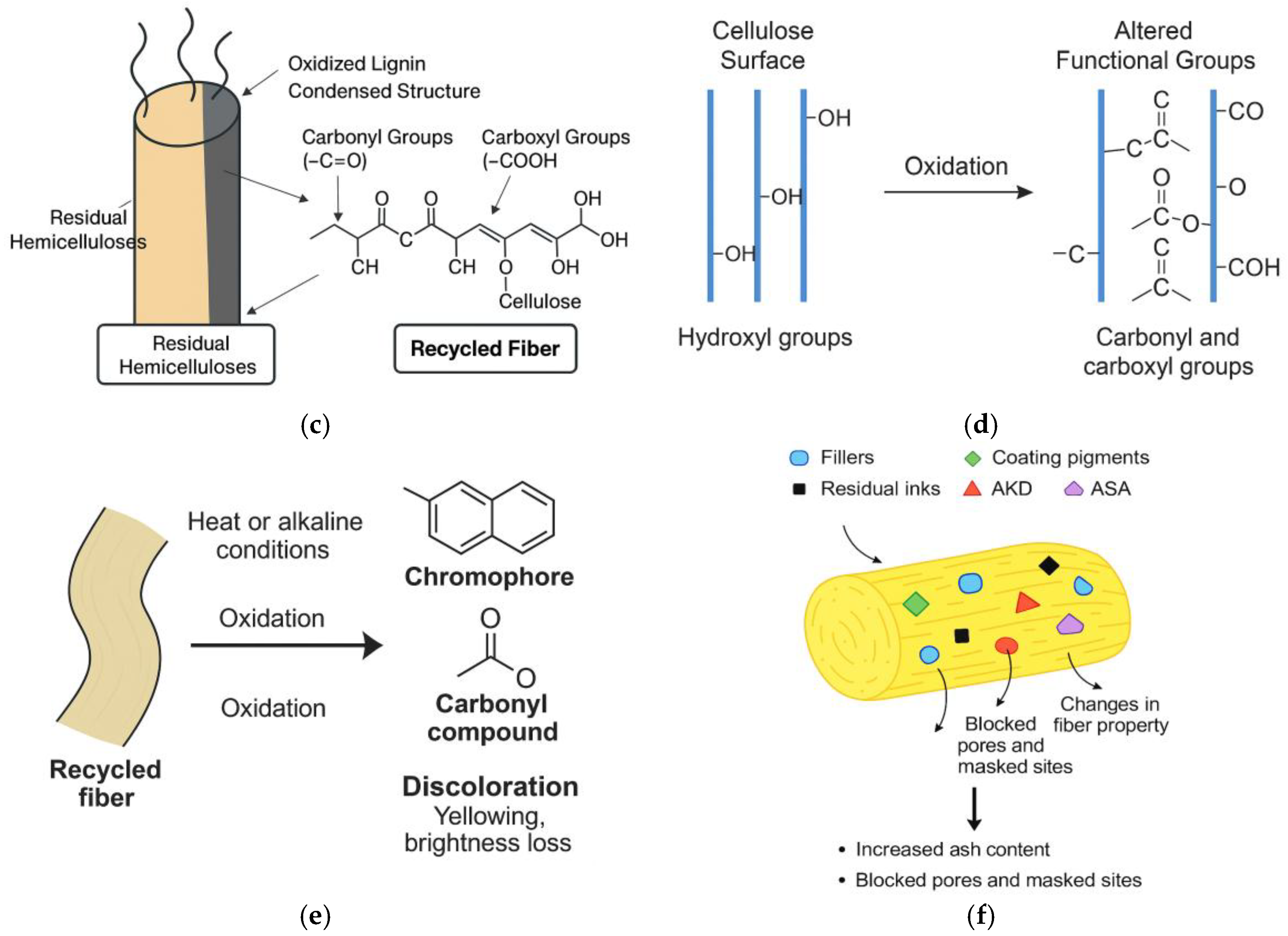 Applsci 15 13034 g005b