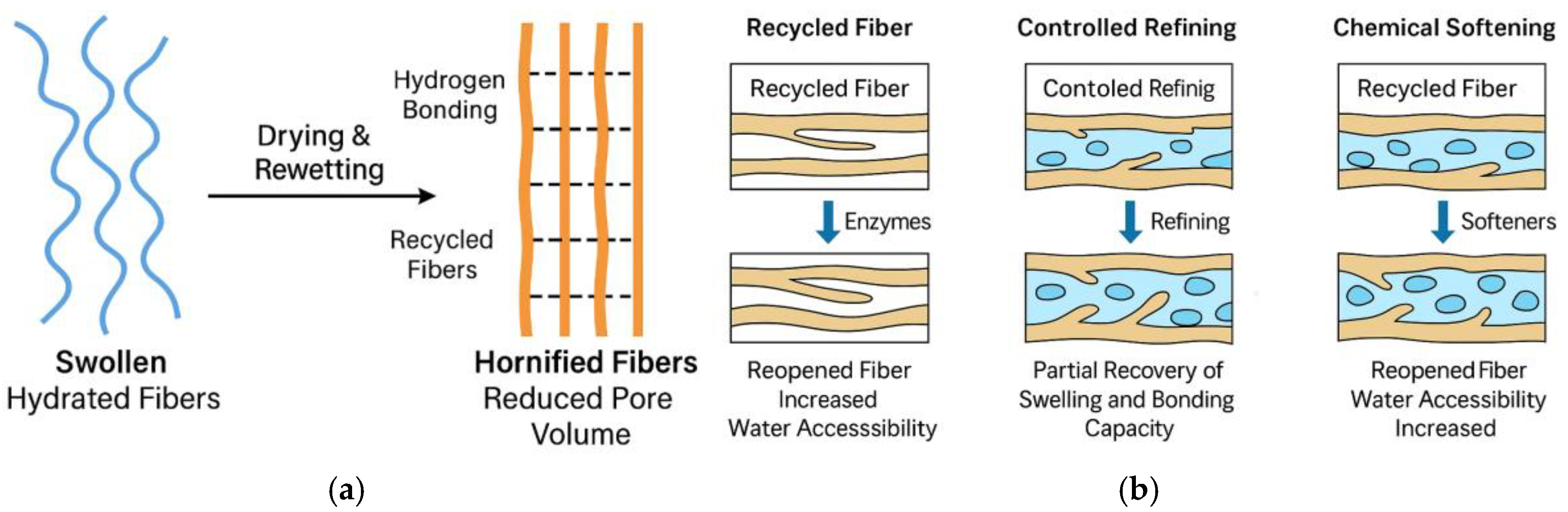 Applsci 15 13034 g006