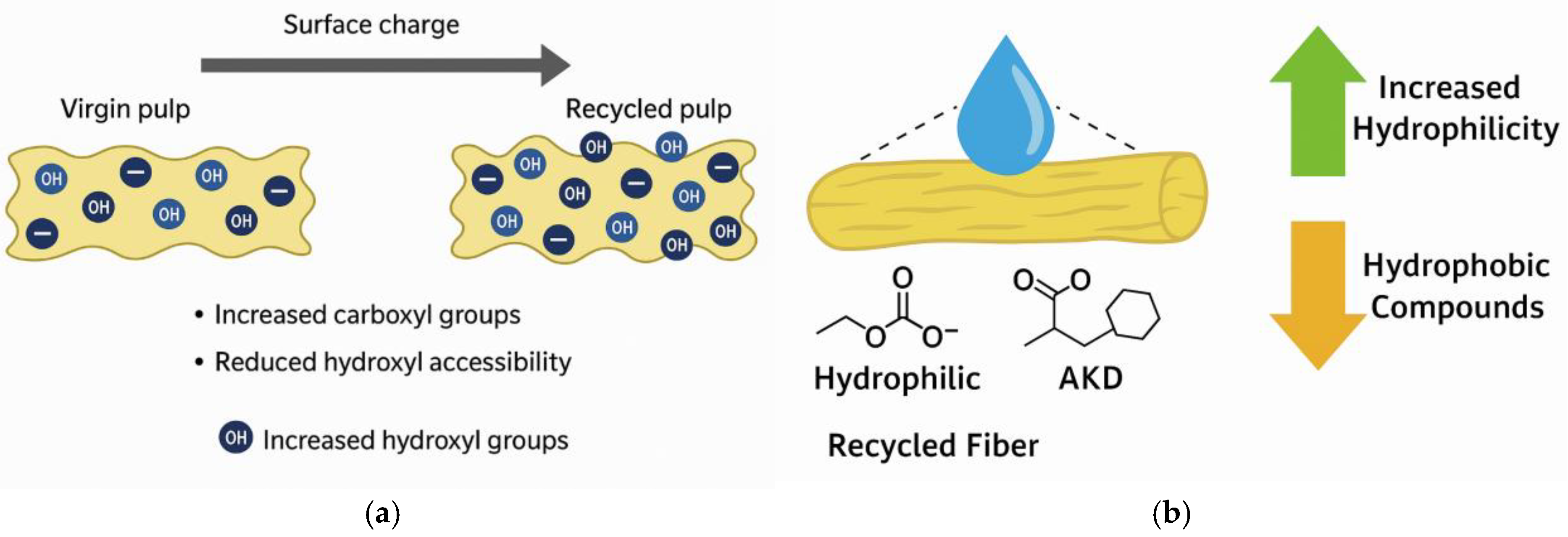 Applsci 15 13034 g008a