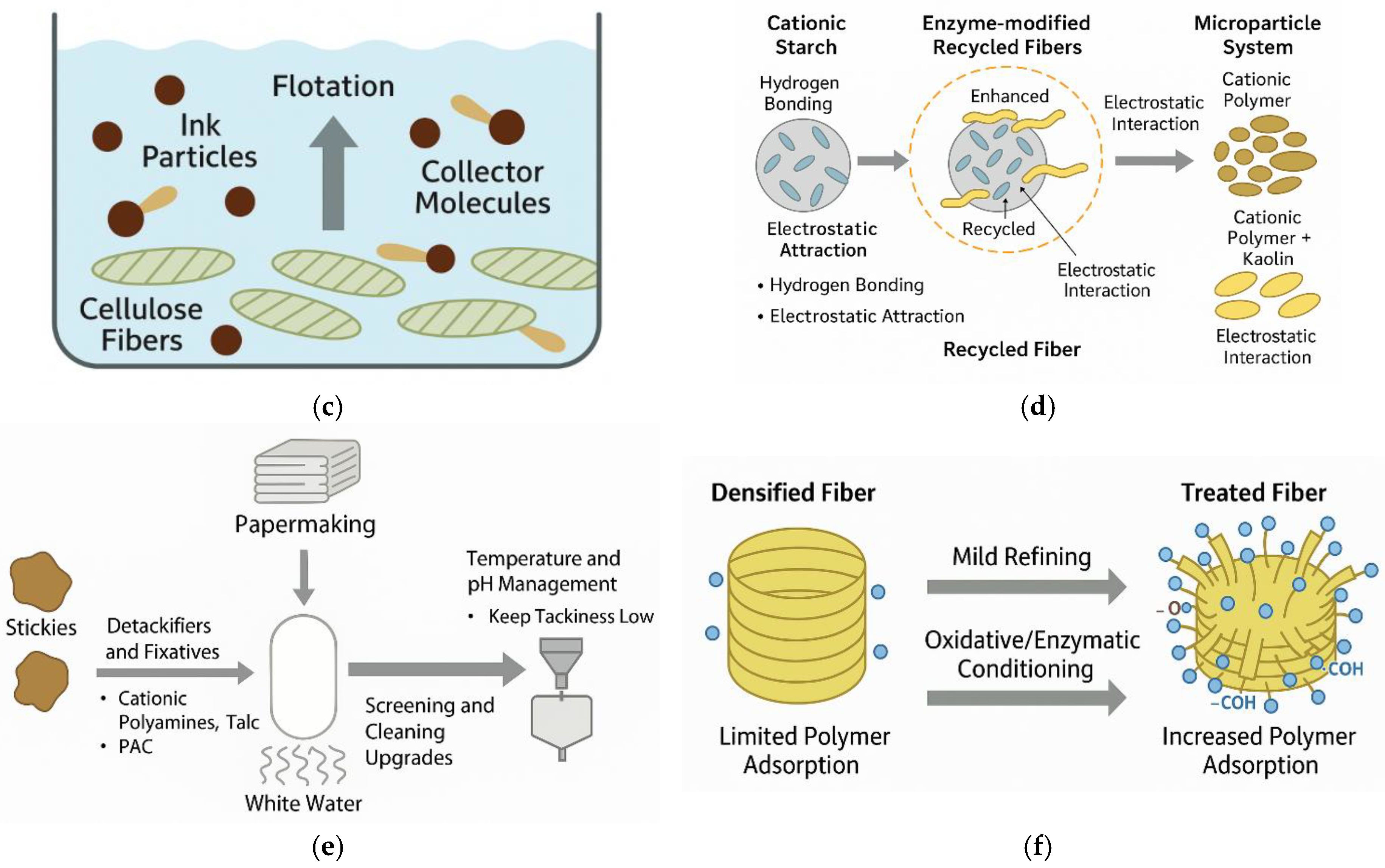 Applsci 15 13034 g008b