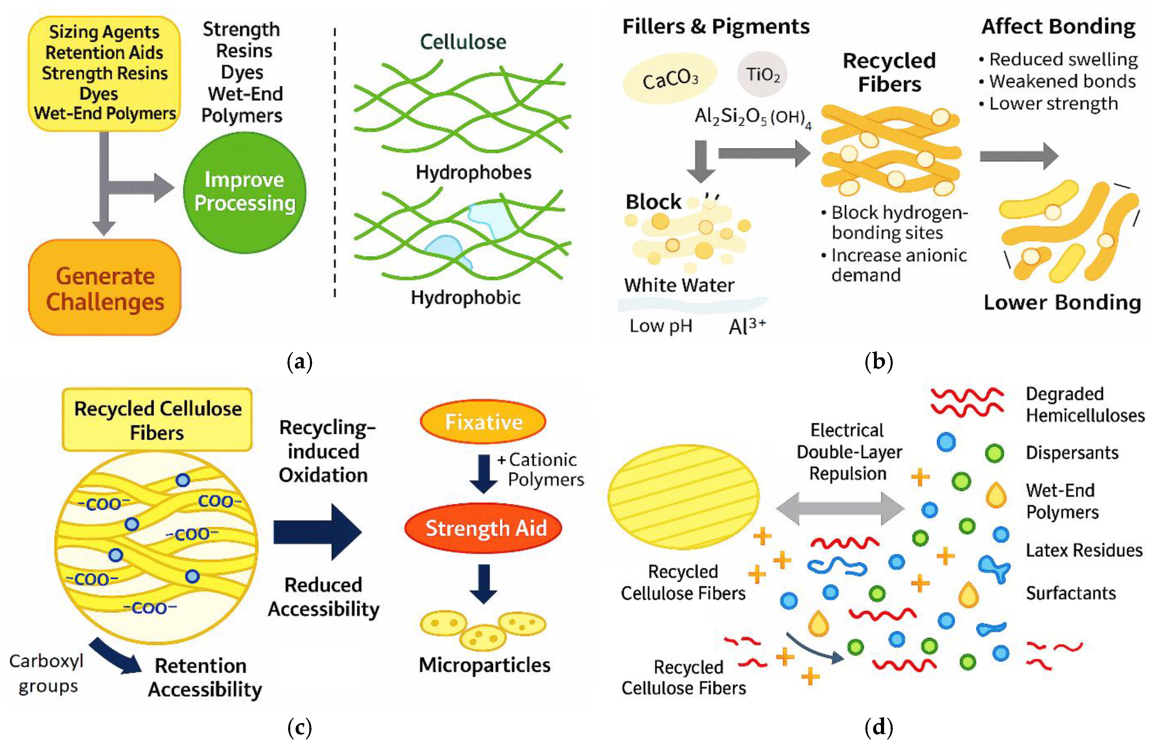 Applsci 15 13034 g012a