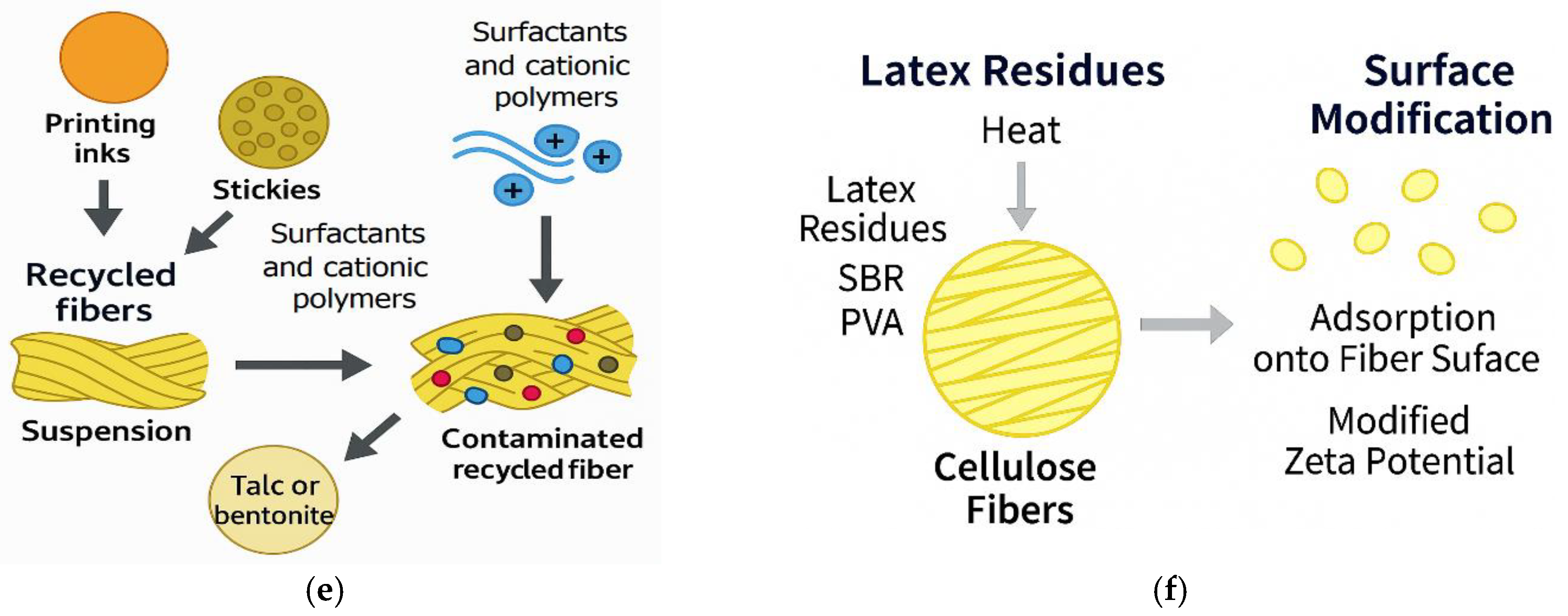 Applsci 15 13034 g012b