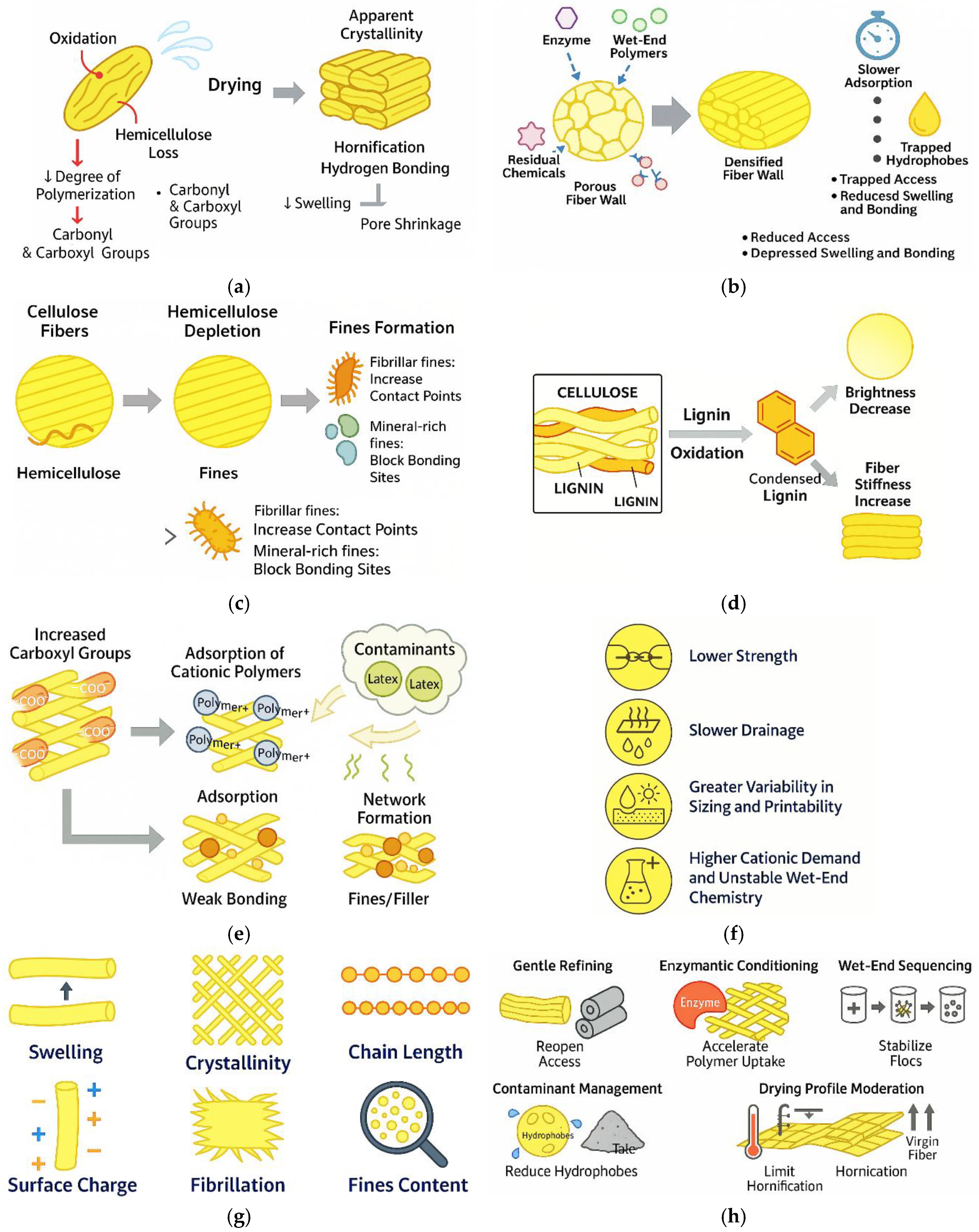 Applsci 15 13034 g013
