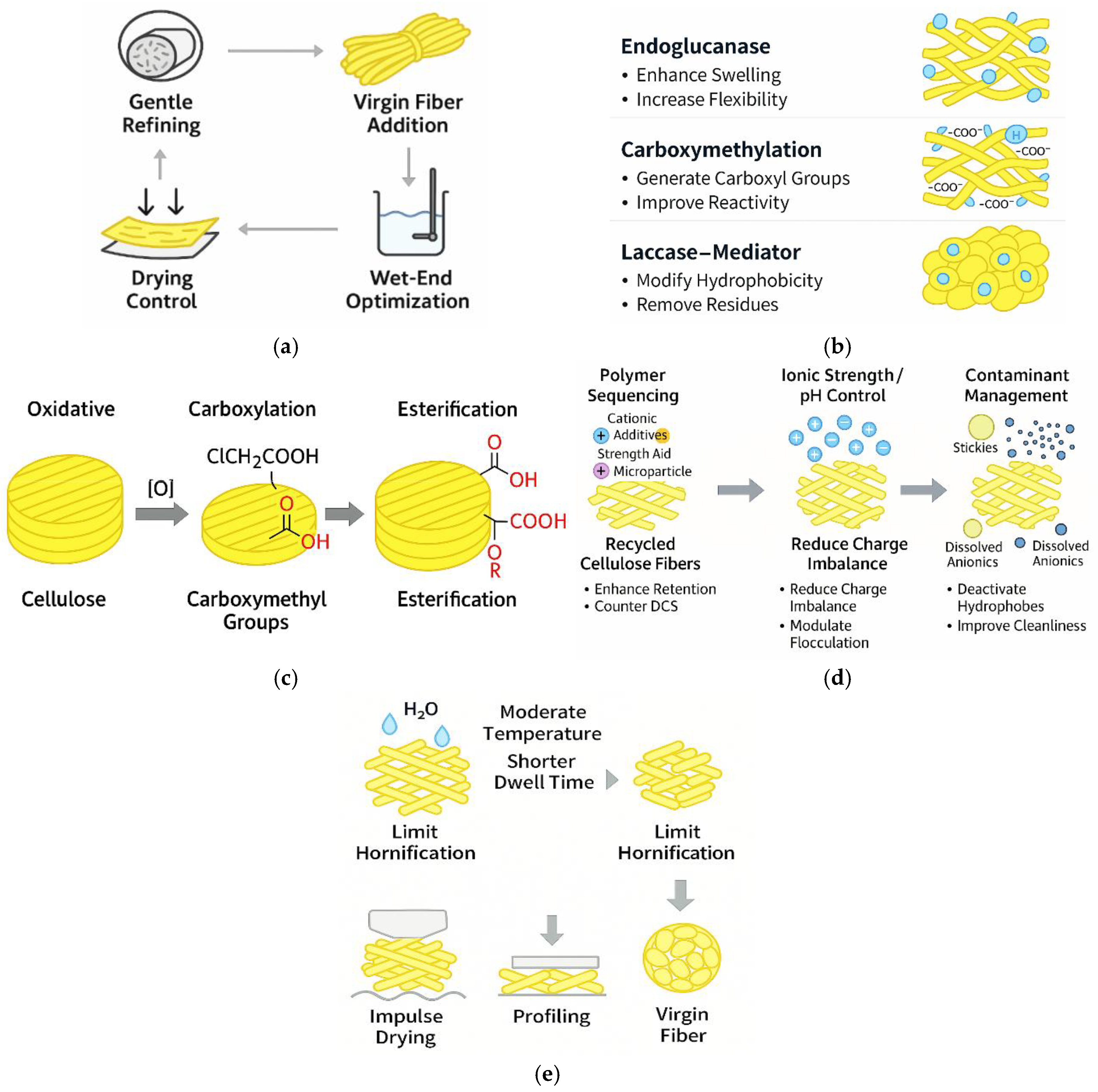 Applsci 15 13034 g014