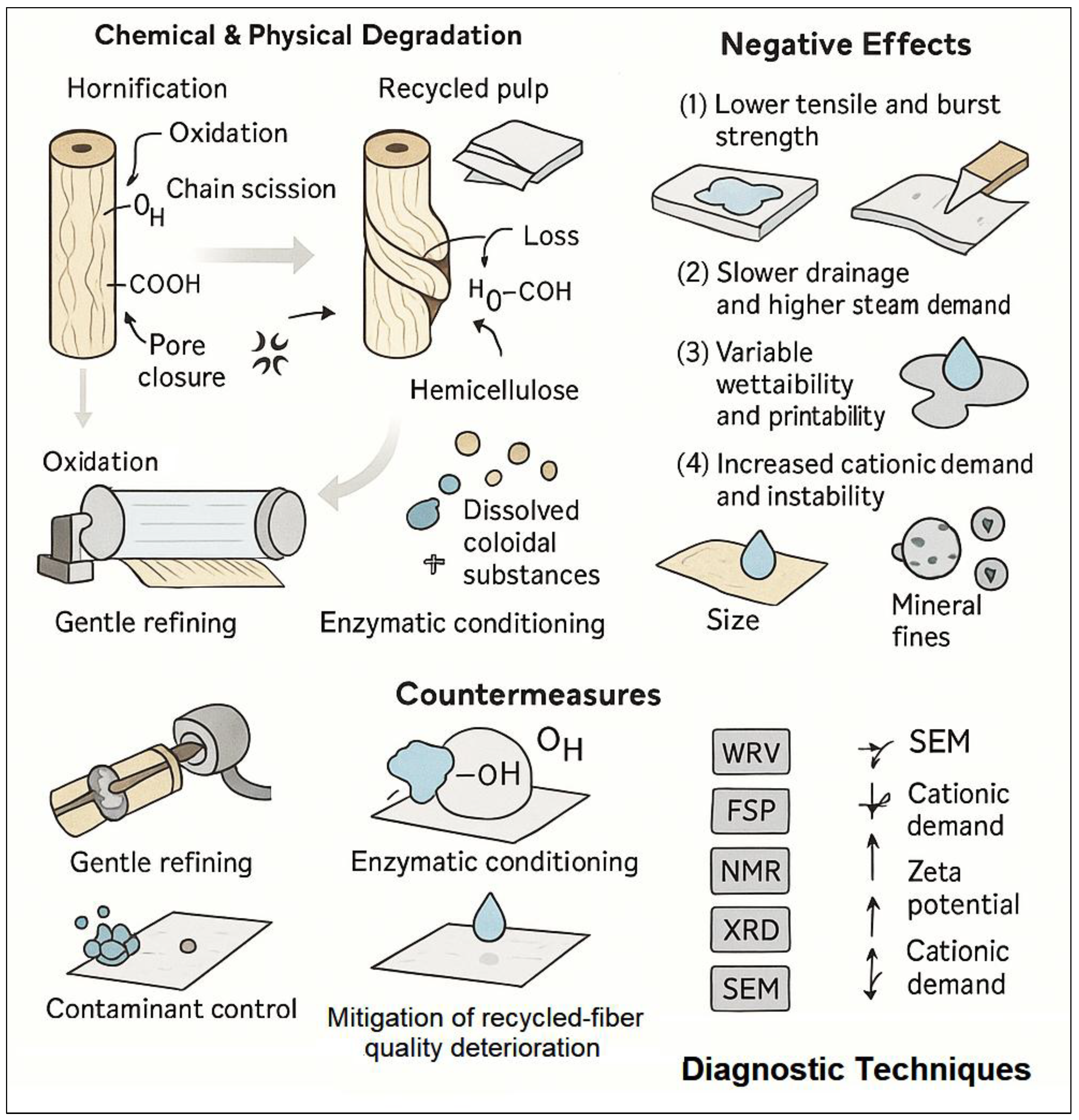 Applsci 15 13034 g015