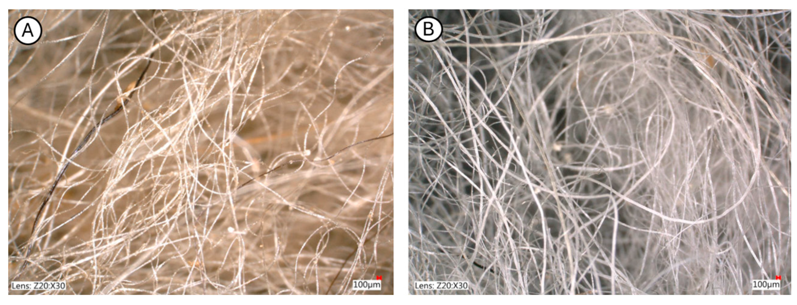 Applsci 15 13054 g002