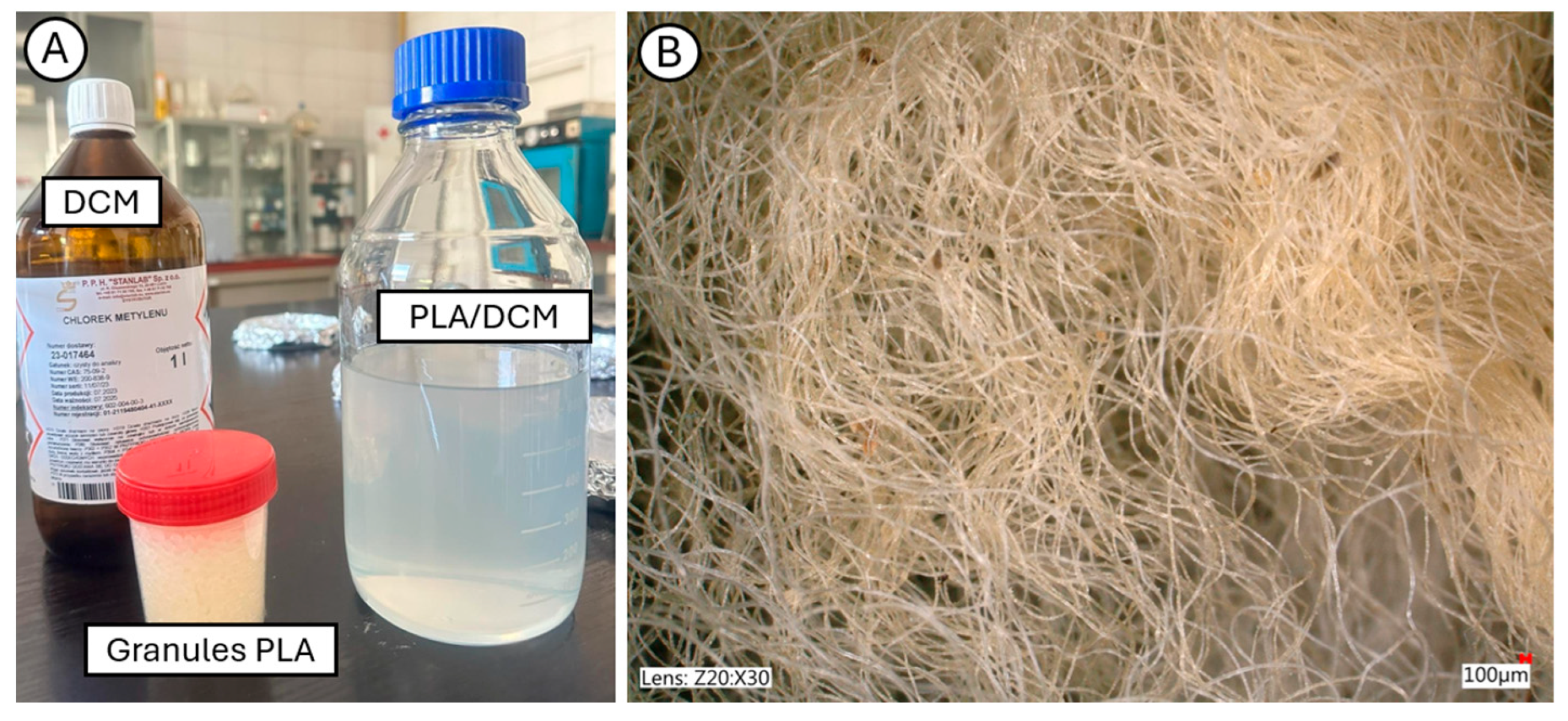 Applsci 15 13054 g003