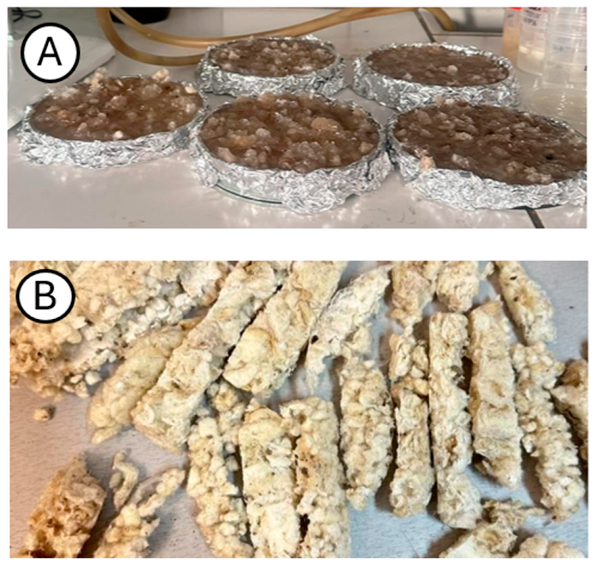 Applsci 15 13054 g004