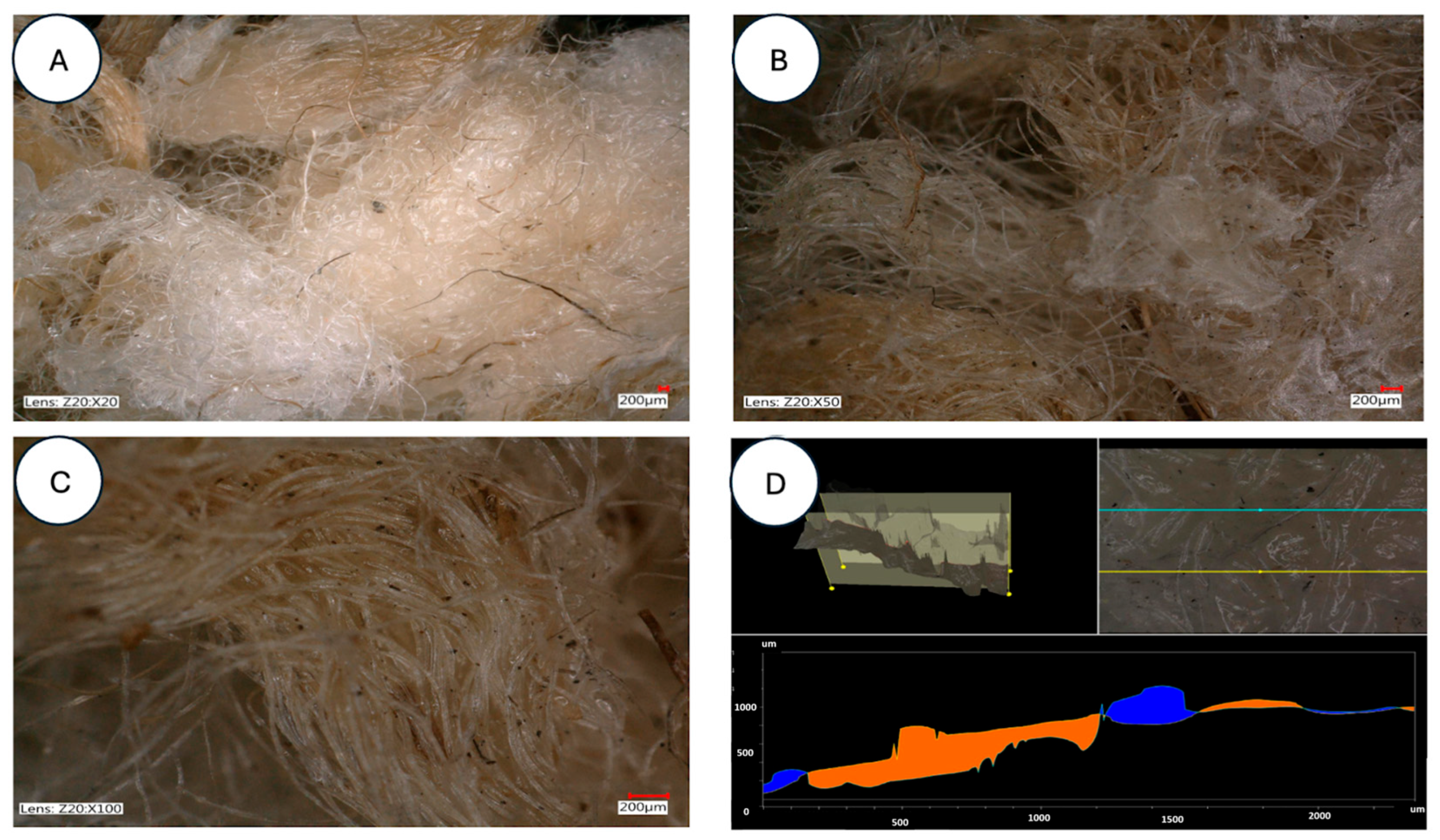 Applsci 15 13054 g009
