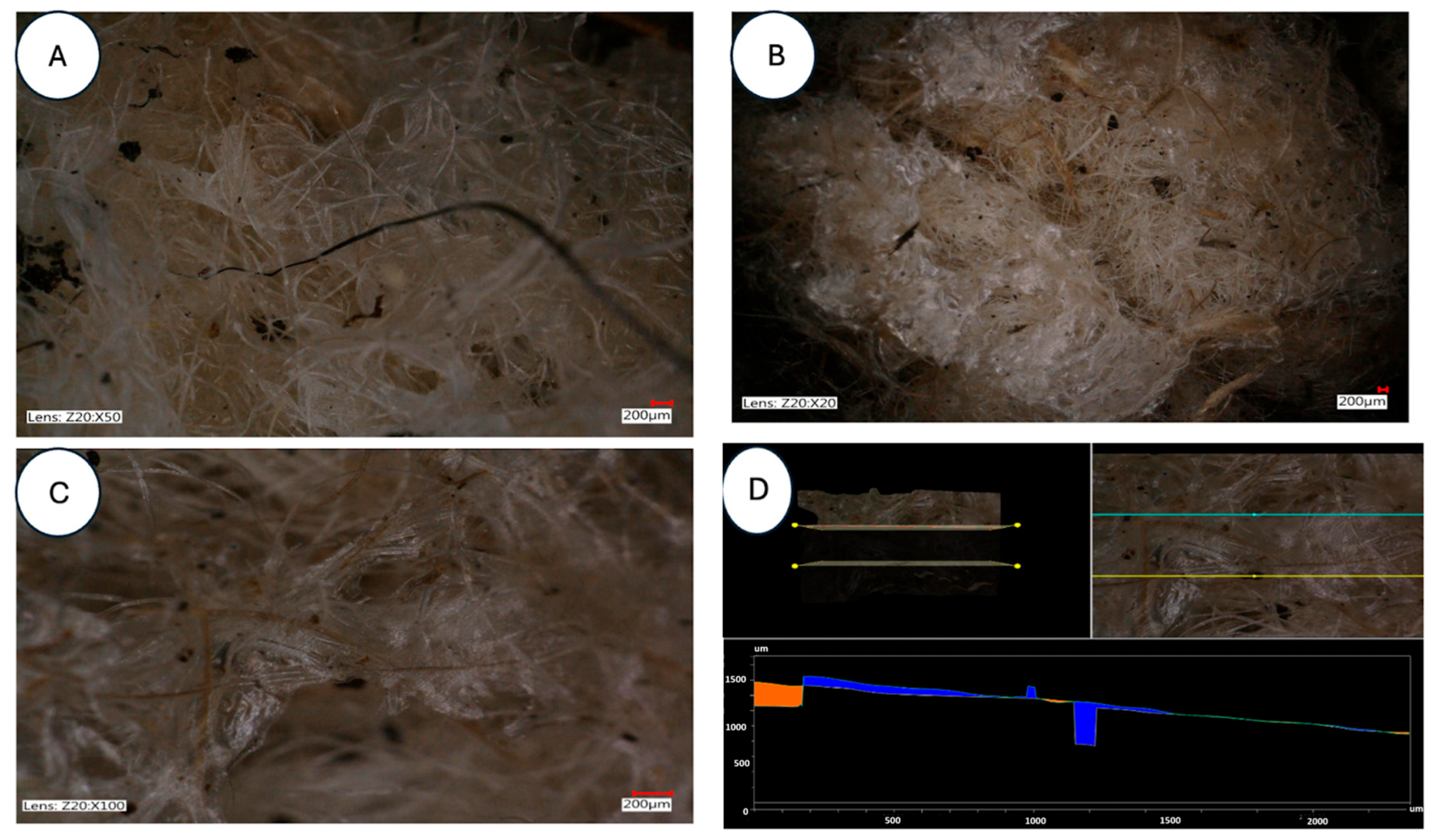 Applsci 15 13054 g010