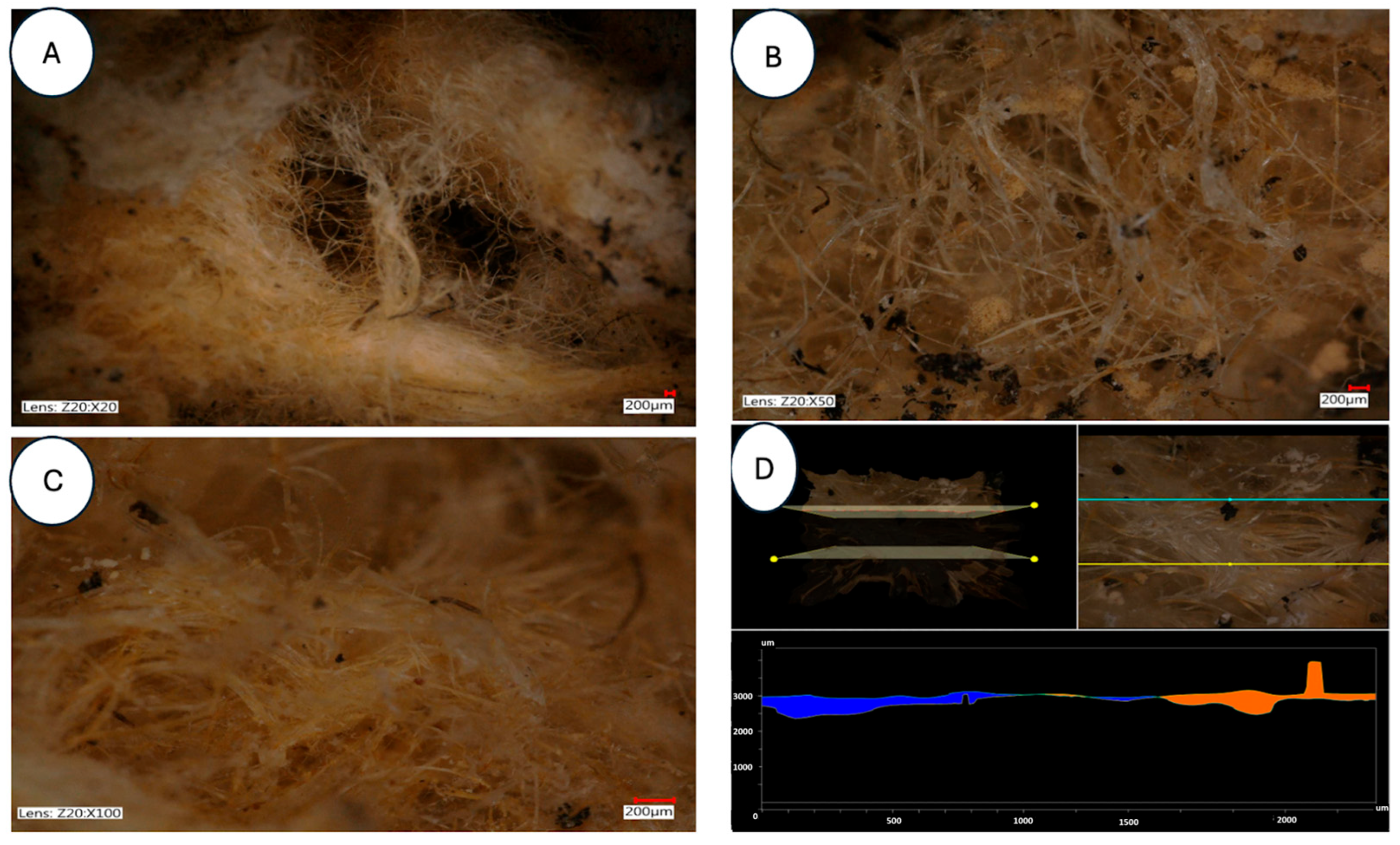 Applsci 15 13054 g011
