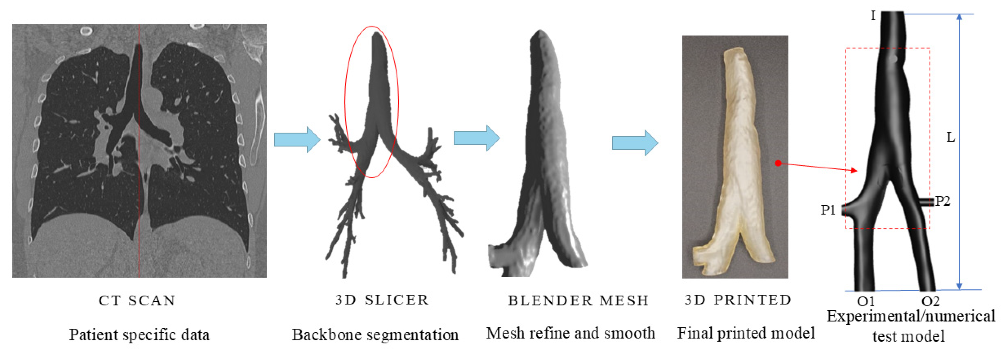 Applsci 15 13055 g001 Applsci 15 13055 g001