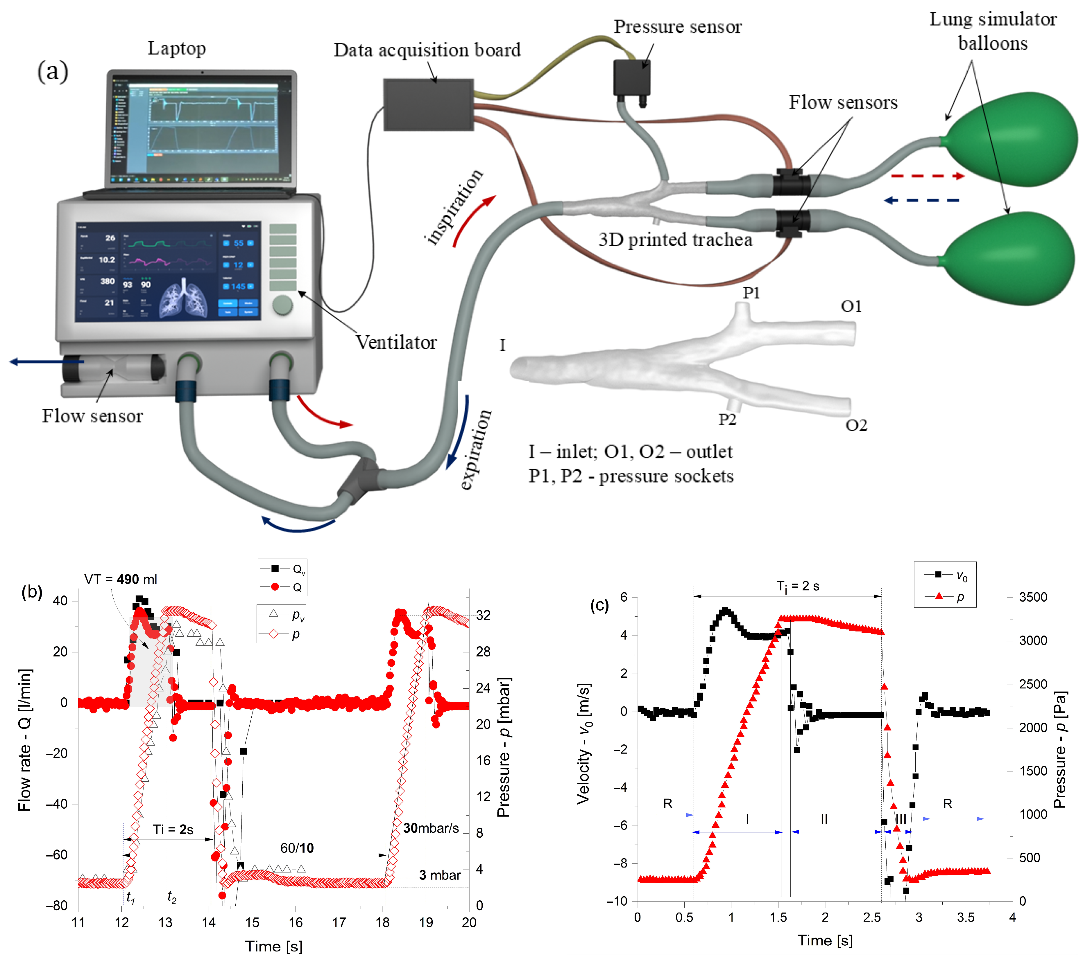 Applsci 15 13055 g003 Applsci 15 13055 g003