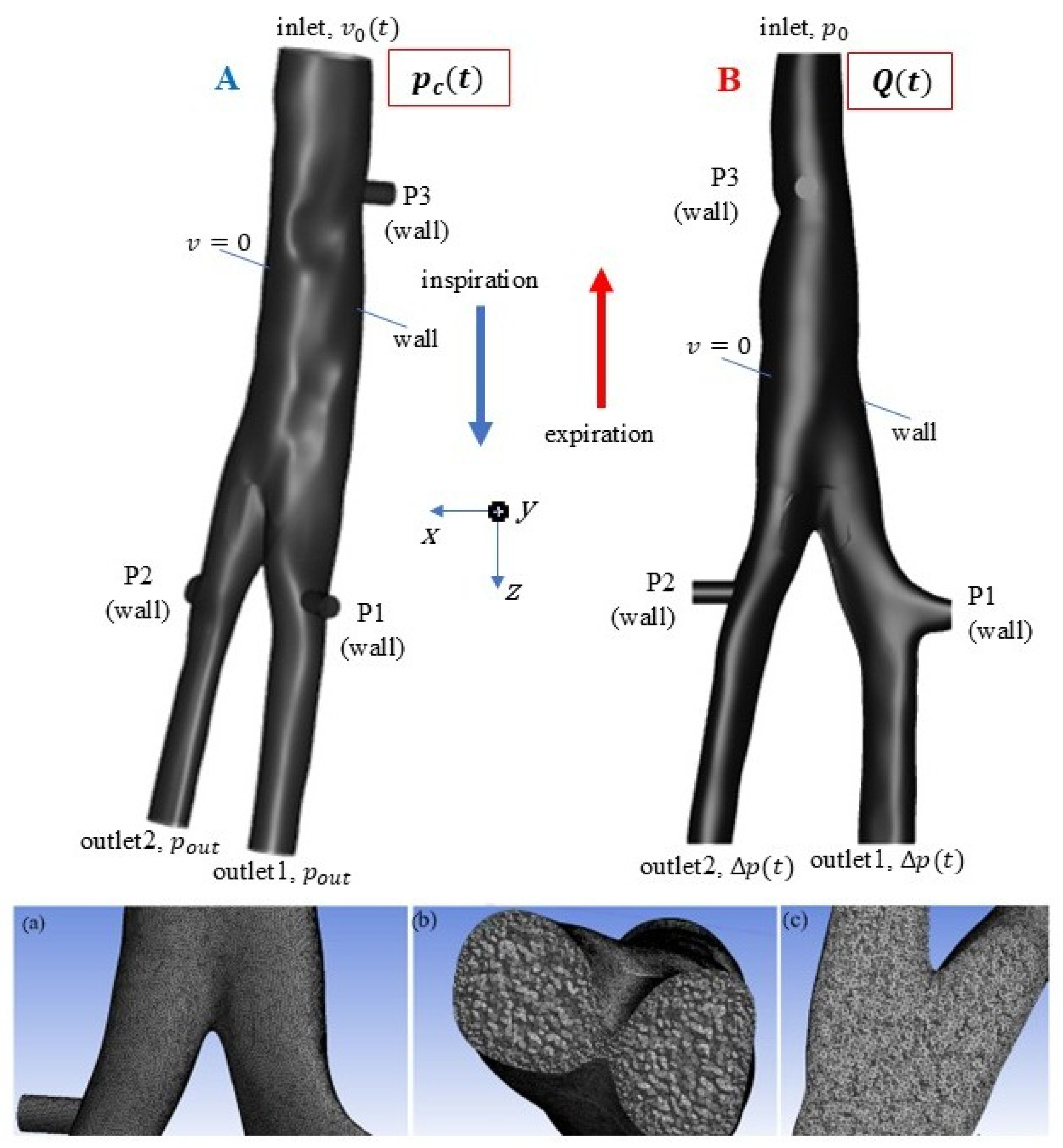 Applsci 15 13055 g004 Applsci 15 13055 g004