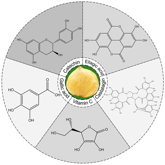 can i take glutathione while taking doxycycline Bioactive Compounds in Chestnut (Castanea sativa Mill.): Composition, Health-Promoting Properties, and Technological Applications