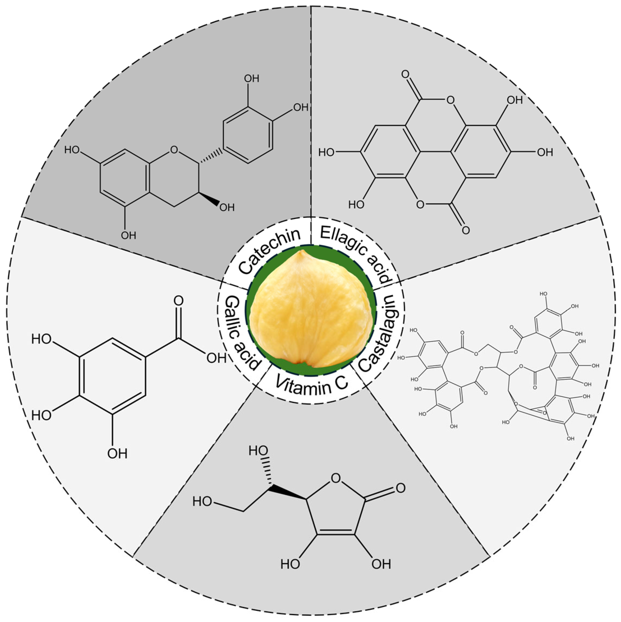 Applsci 15 13069 g002 Applsci 15 13069 g002
