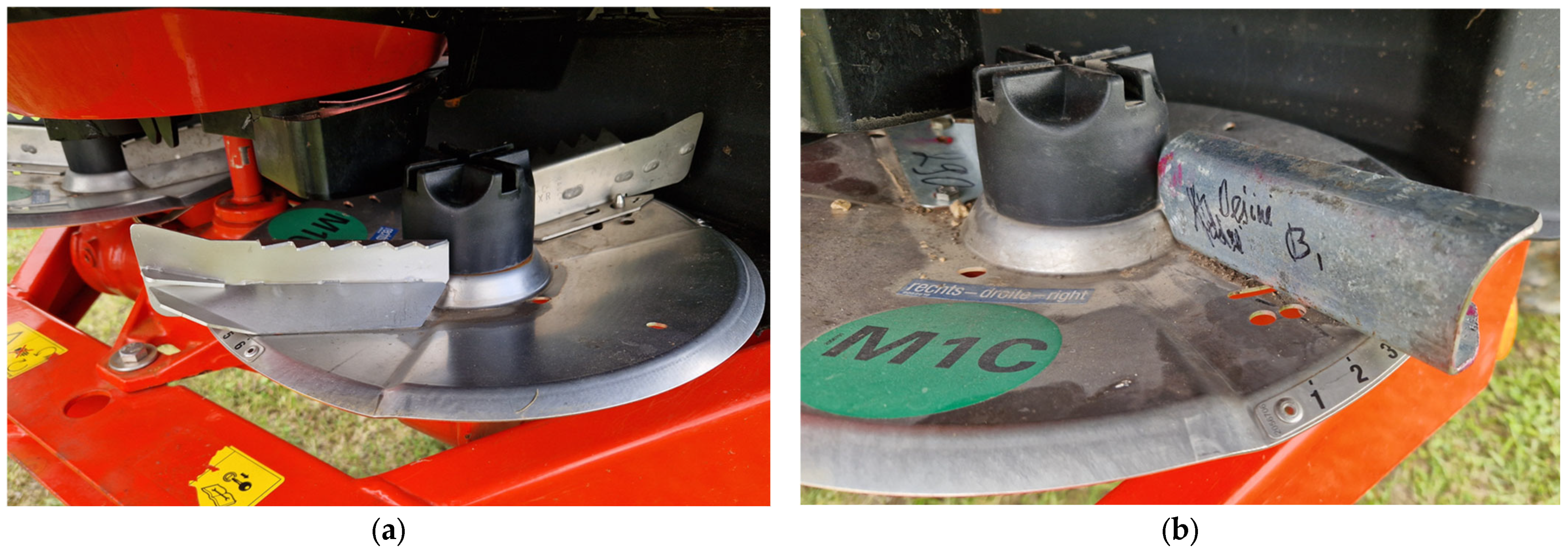 Applsci 15 13076 g005 Applsci 15 13076 g005